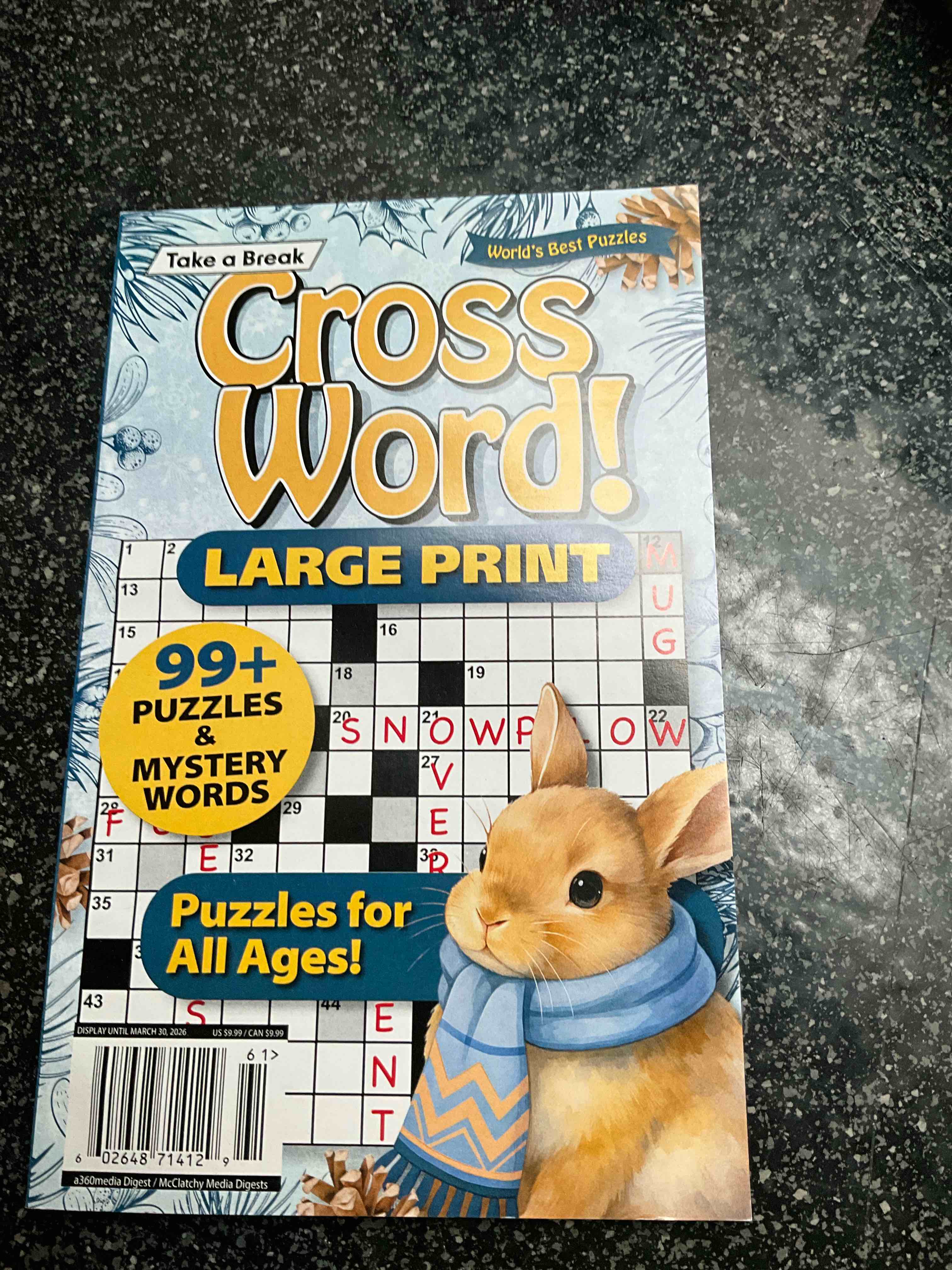 Condition photo showing New/Like New for Take A Break - Cross Word - Large Print 