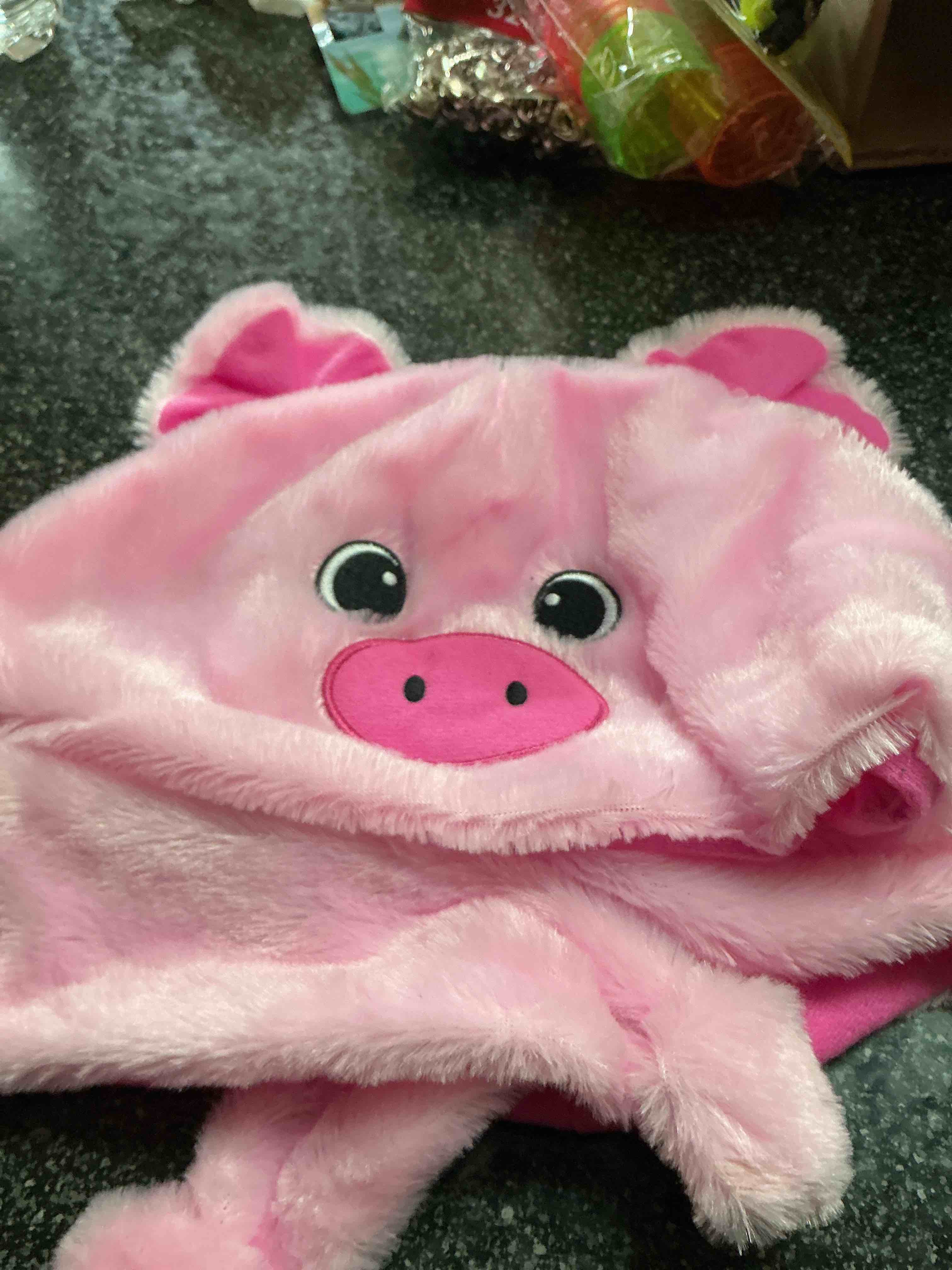 Condition photo showing New/Like New for Pink Pig Hat 