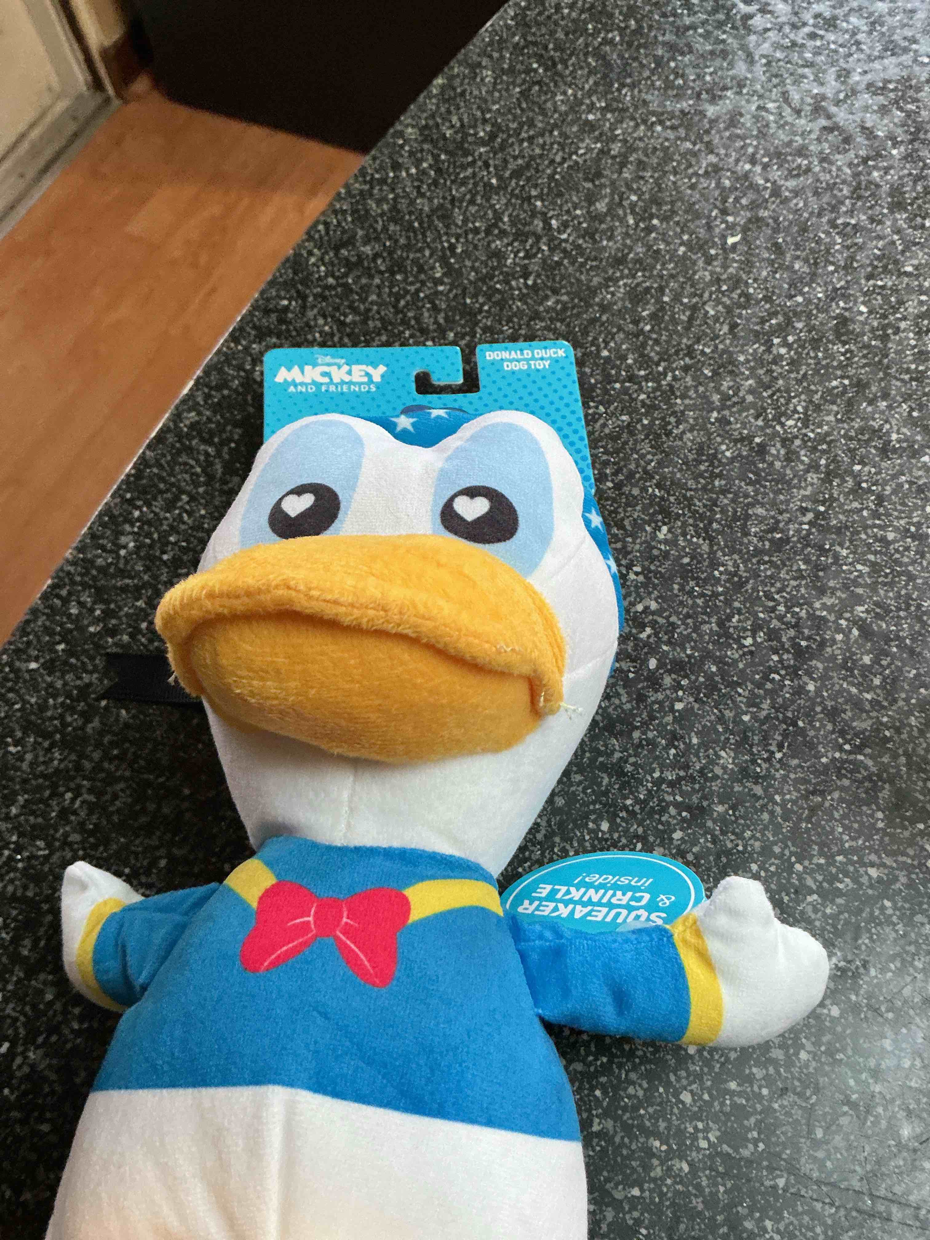 Condition photo showing New/Like New for Disney Mickey & Friends Donald Duck Dog Toy Squeaky Crinkle 