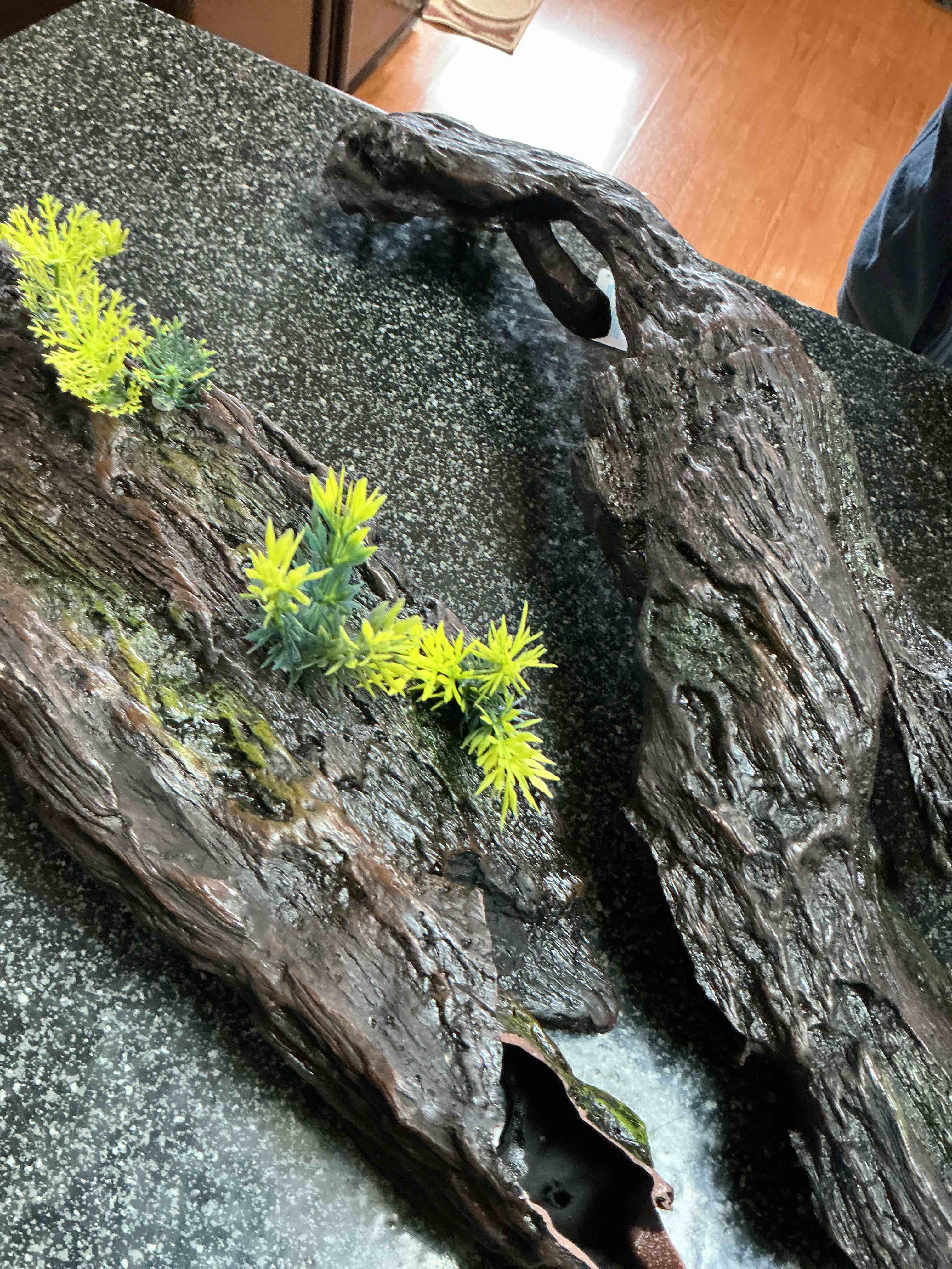 Condition photo showing New/Like New for Top - Fin Drift Wood For Aquarium 