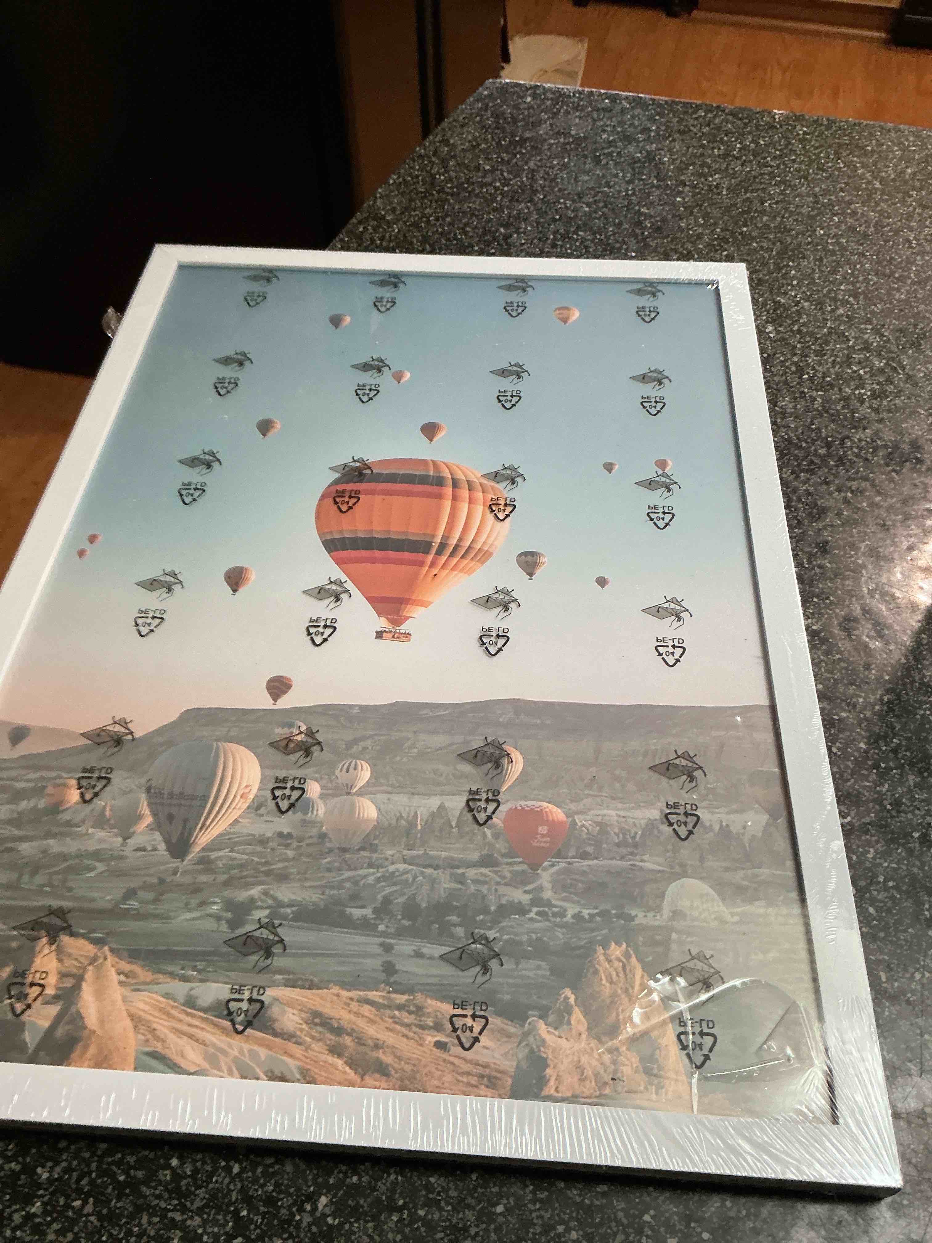 Poster Frame 17 “X 12”