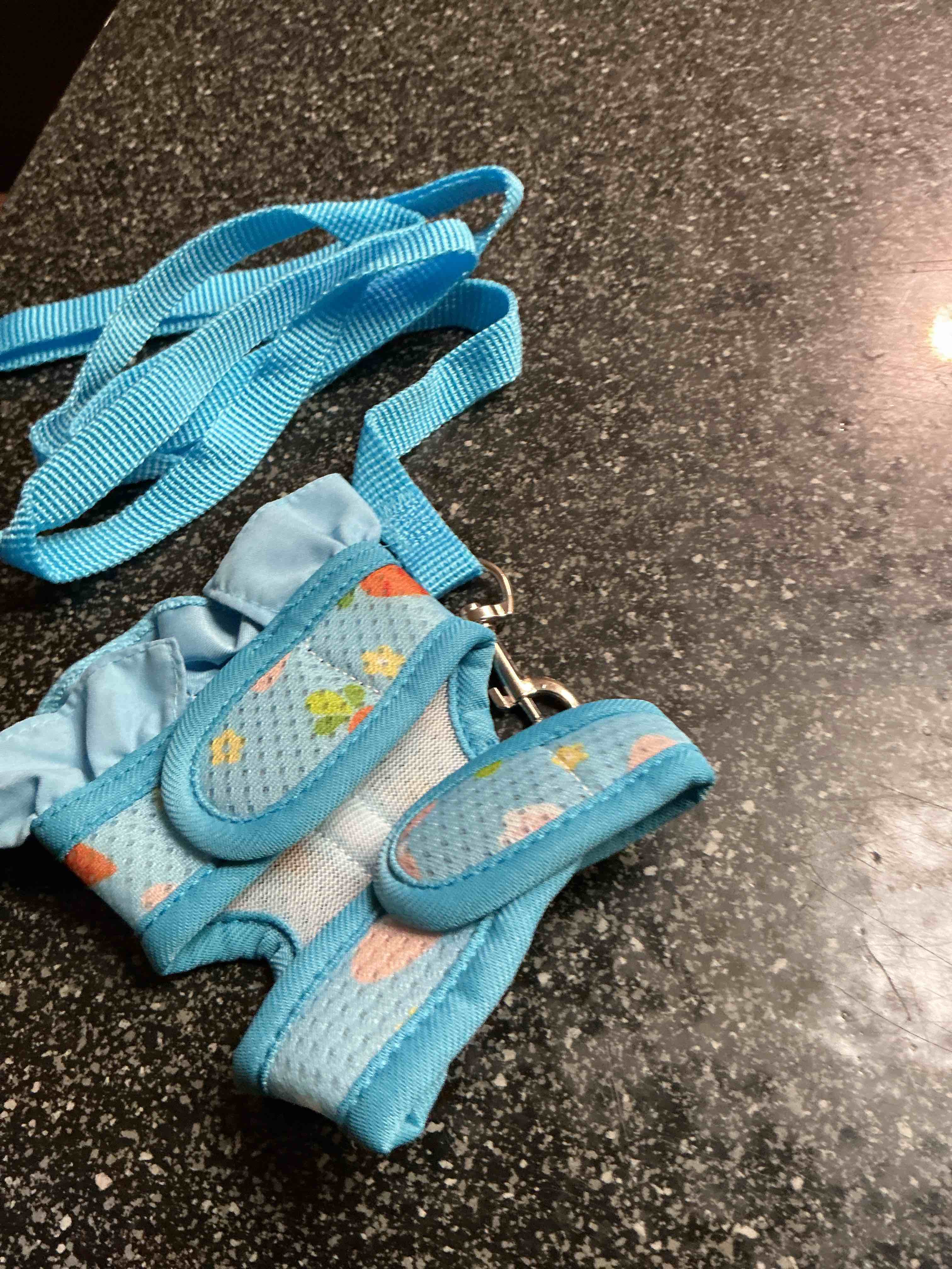 Condition photo showing New/Like New for Dog Harness & Leash Size XS  / S Blue Color 