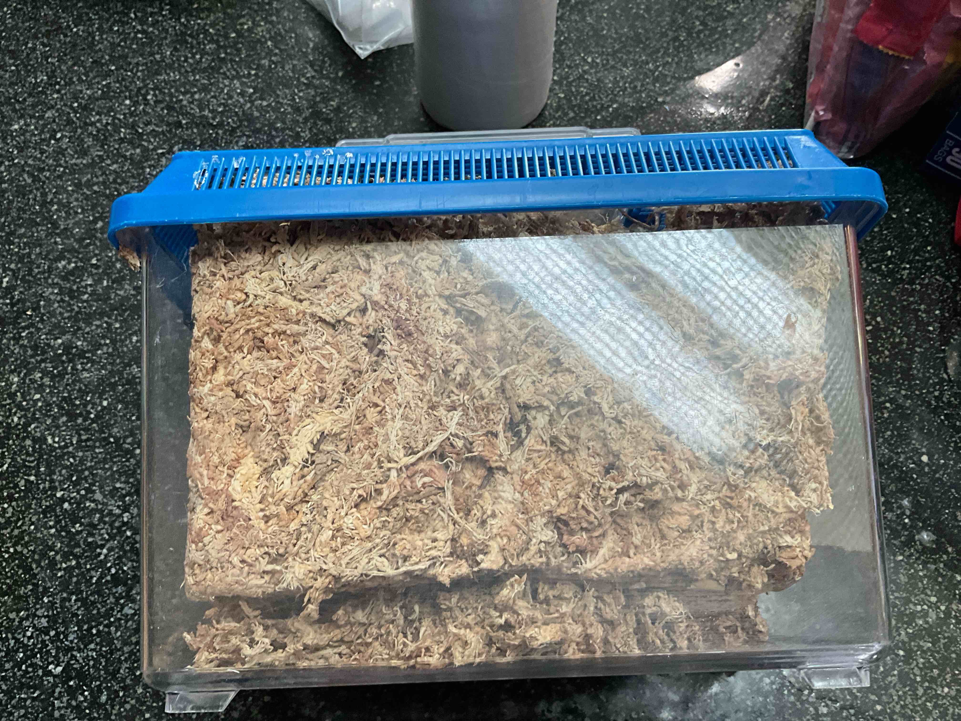 Condition photo showing New/Like New for Dry Fibrous Substrate - Reptile Bedding 