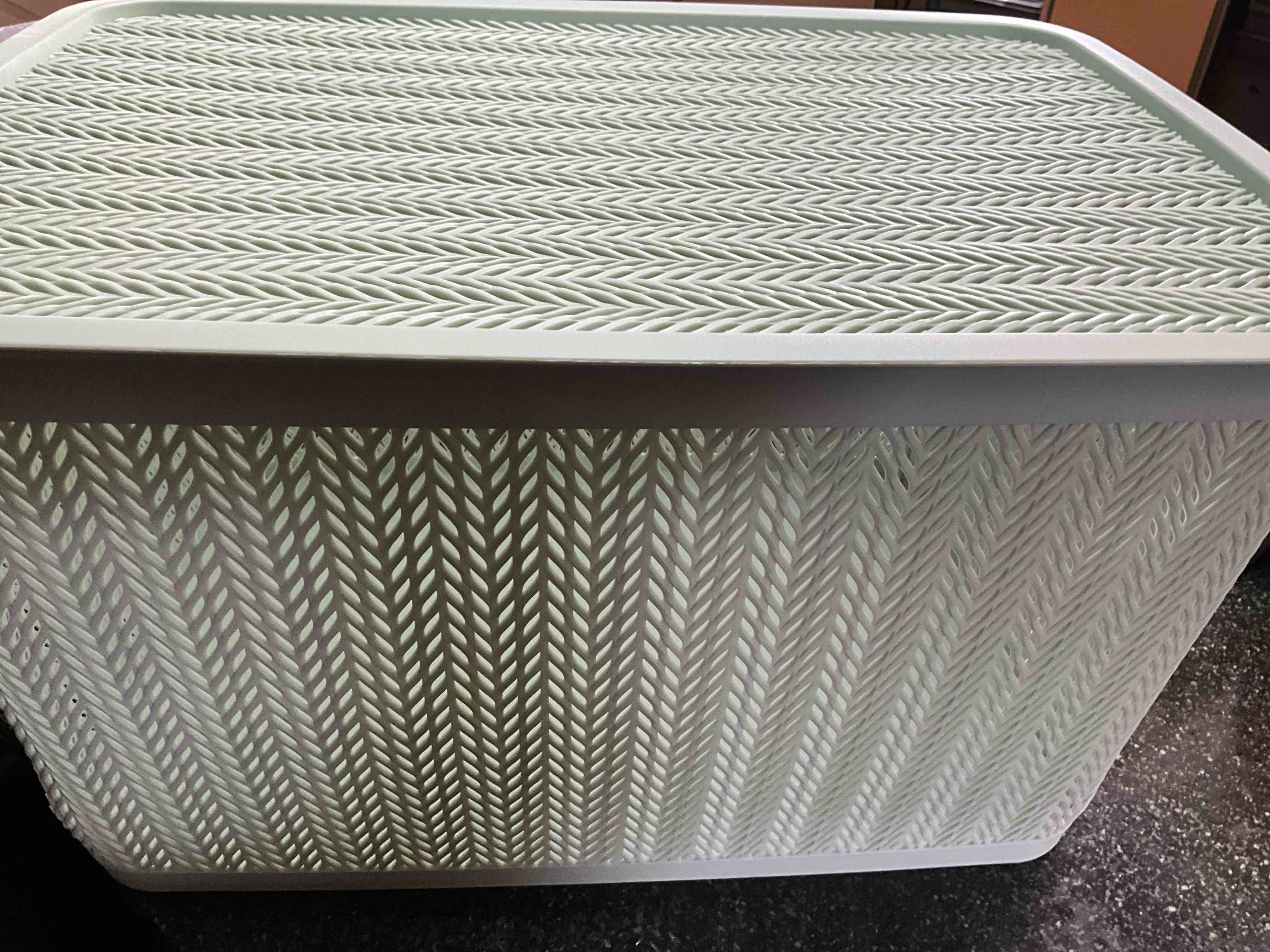 Condition photo showing New/Like New for Starplast - Large Storage Container with Lid - Sage  - Wheat Design 