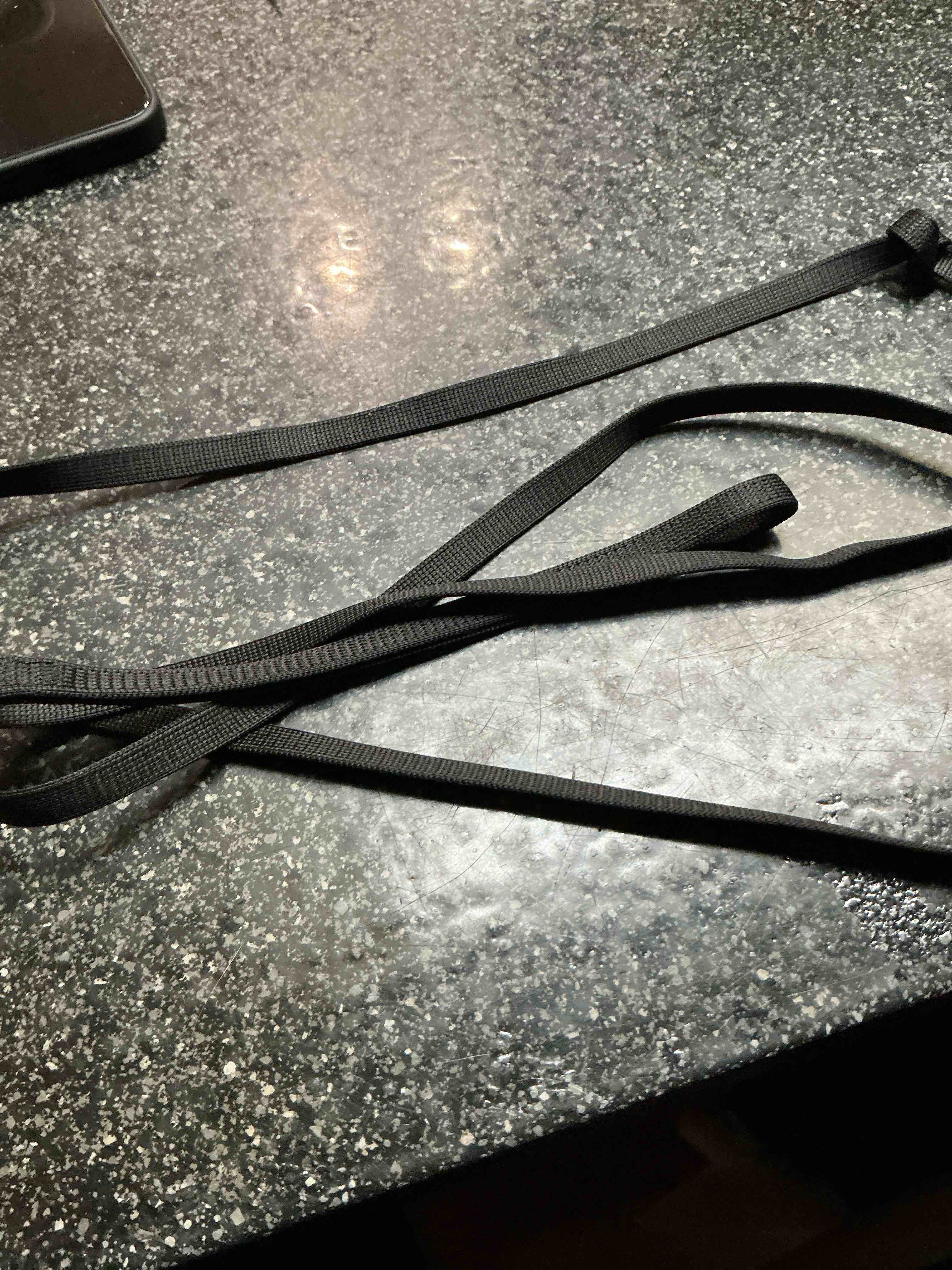 black dog leash 6 ft. 