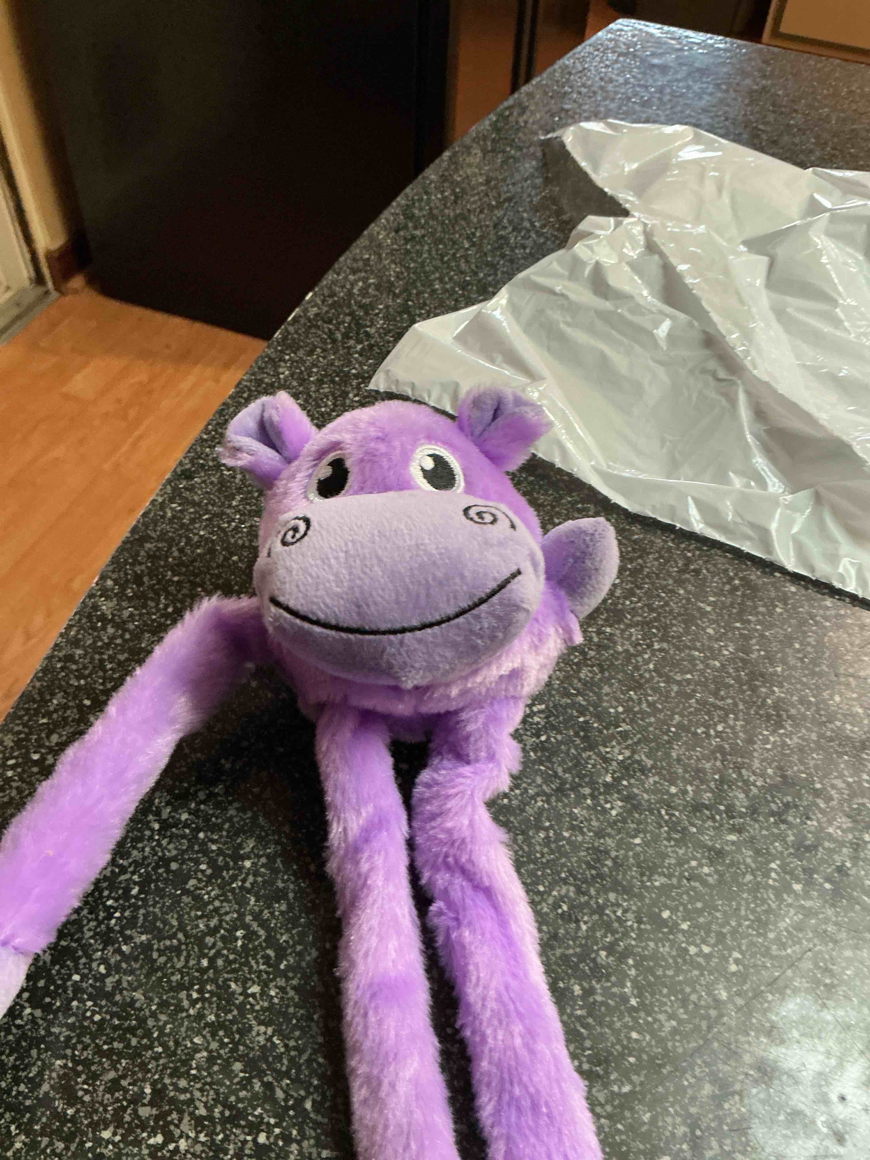 Condition photo showing New/Like New for Purple Monkey Stuff Animal For Dogs 