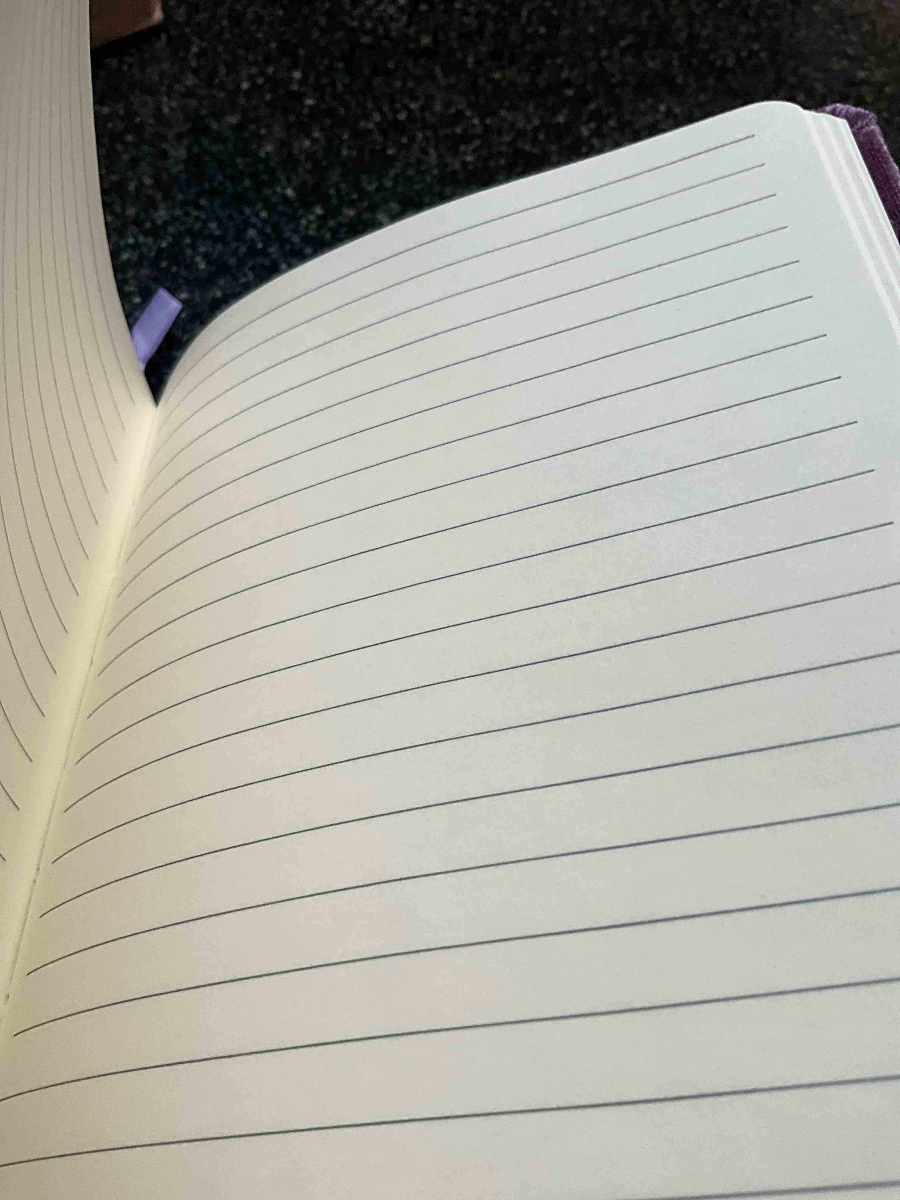 Condition photo showing New/Like New for Purple Velvet Journal College Ruled Pages 