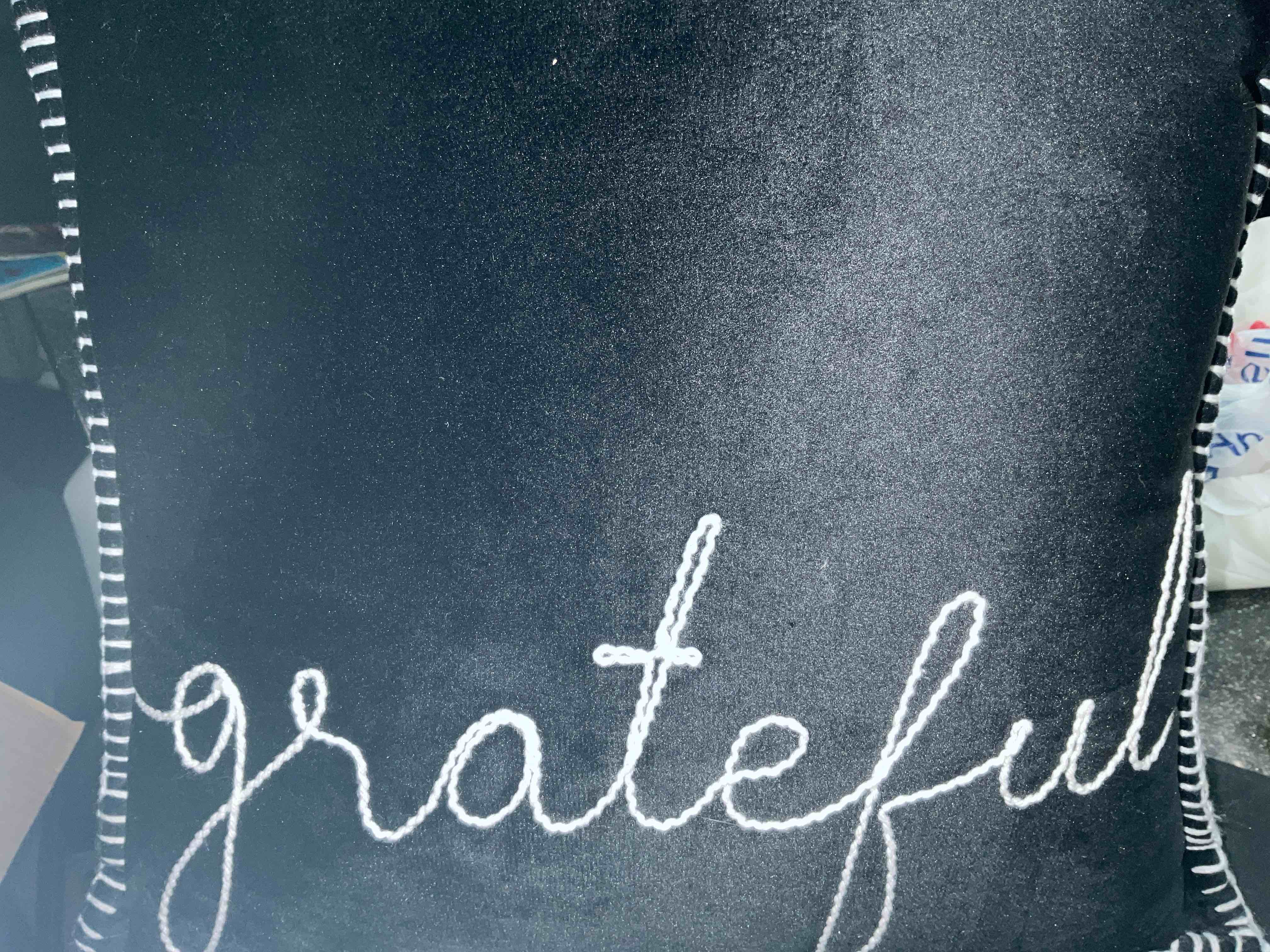 Condition photo showing New/Like New for Interiors By Design - Grateful - Velvet Embroidered Pillow - Soft & Plush - 16 x 16