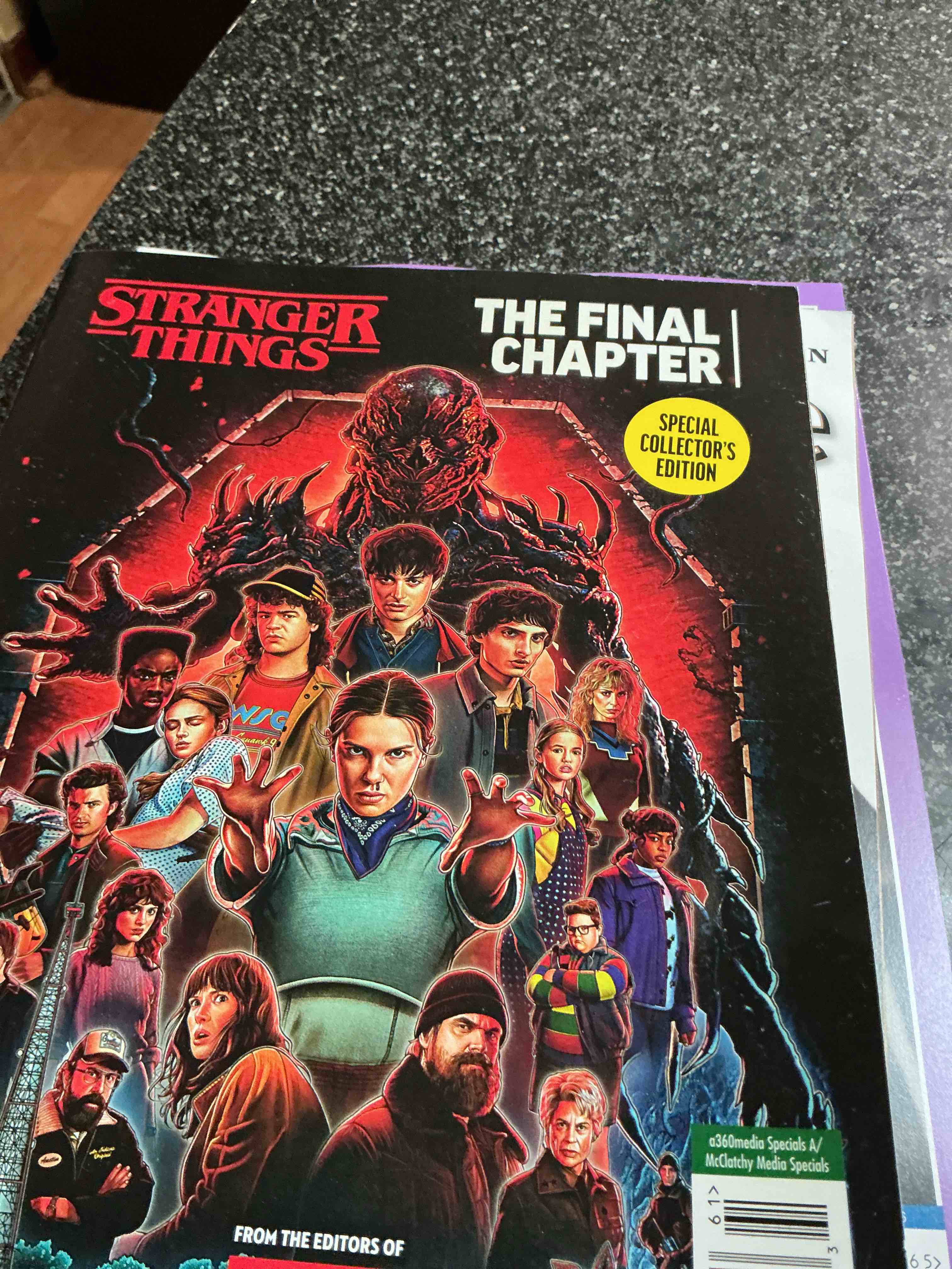 Stranger Things The Final Chapter  Special Edition 
