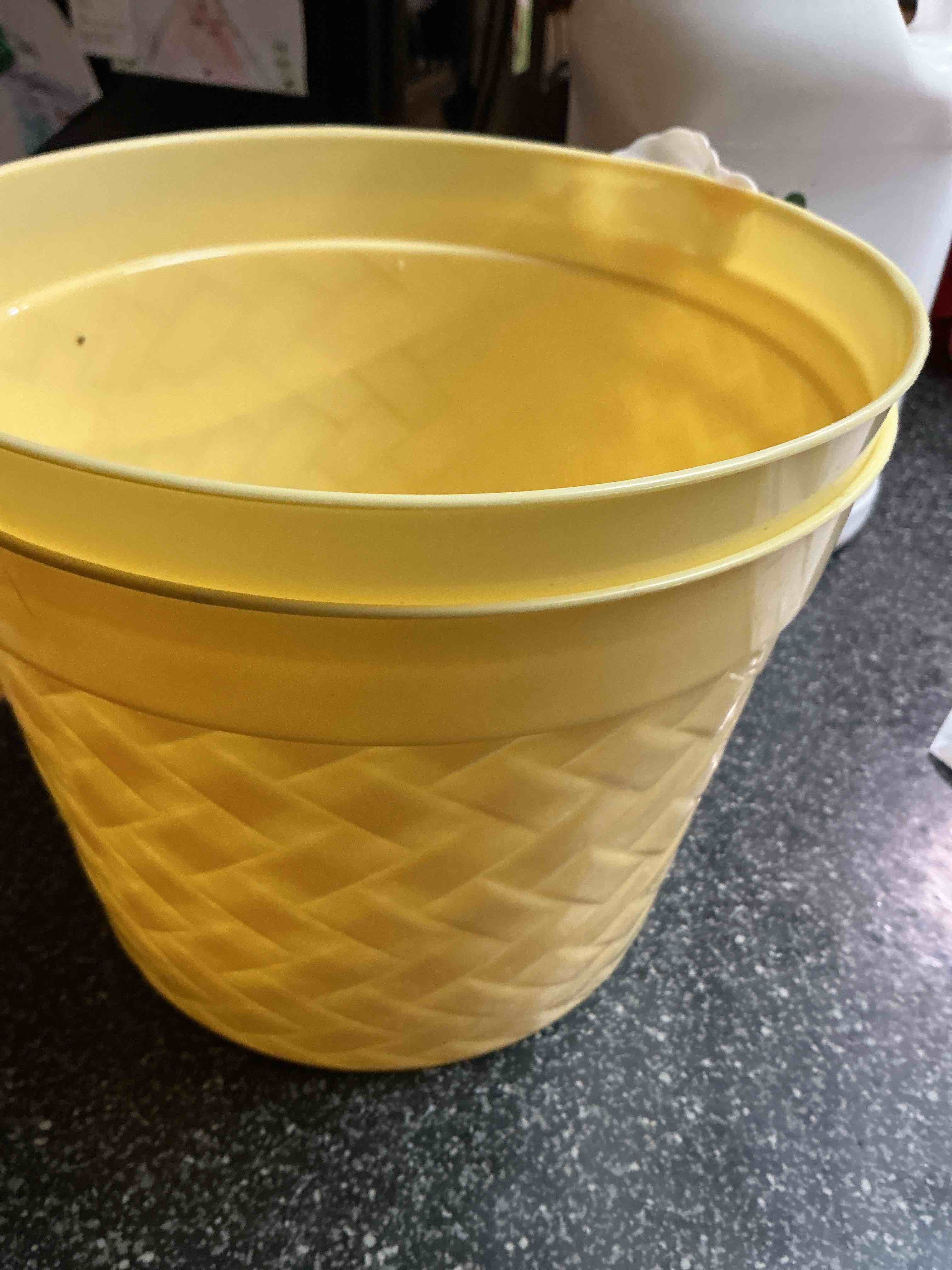 Condition photo showing New/Like New for Weave Basket Yellow Easter Bucket 
