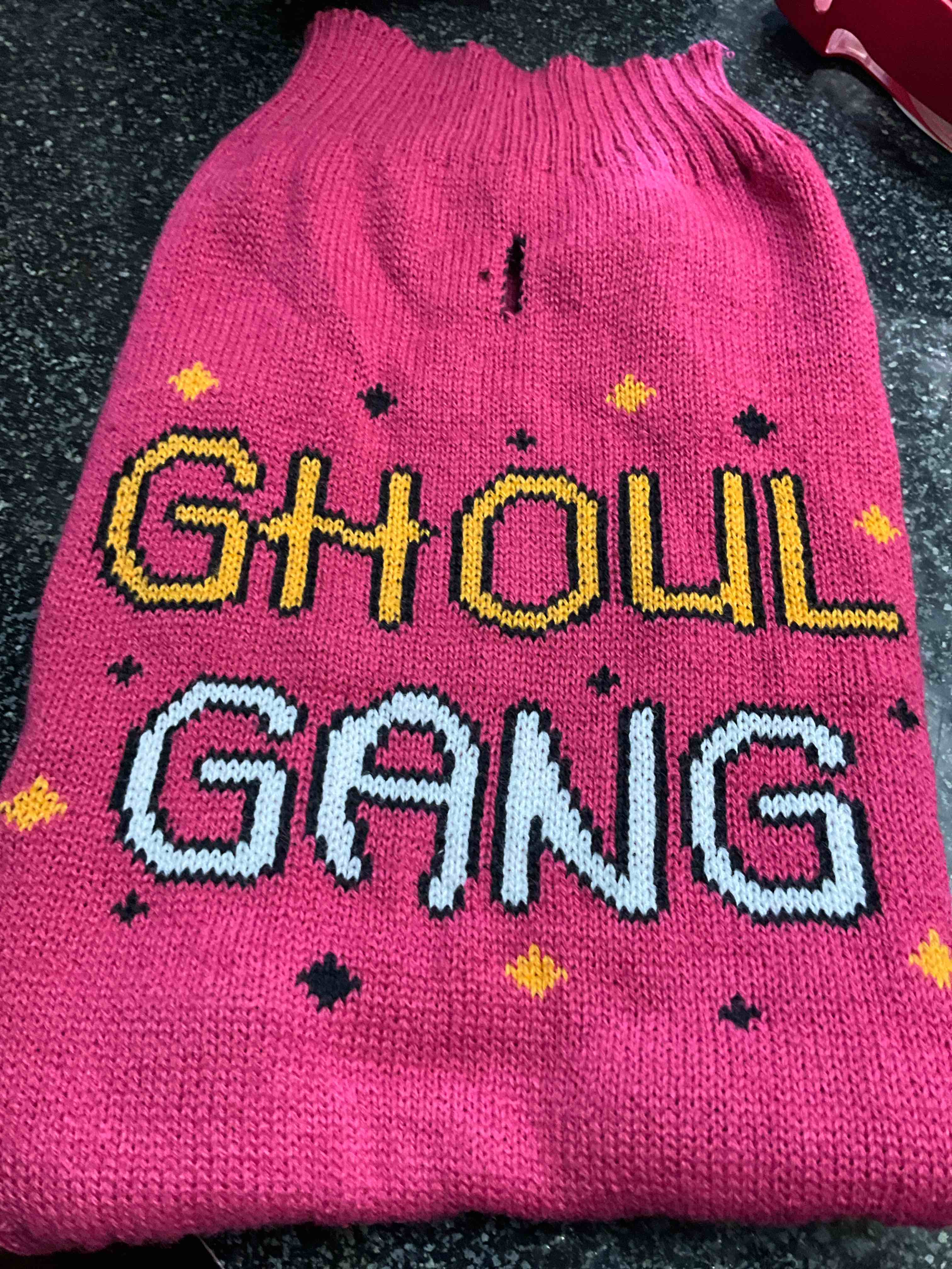 Condition photo showing New/Like New for Pet Sweater - Size - L 