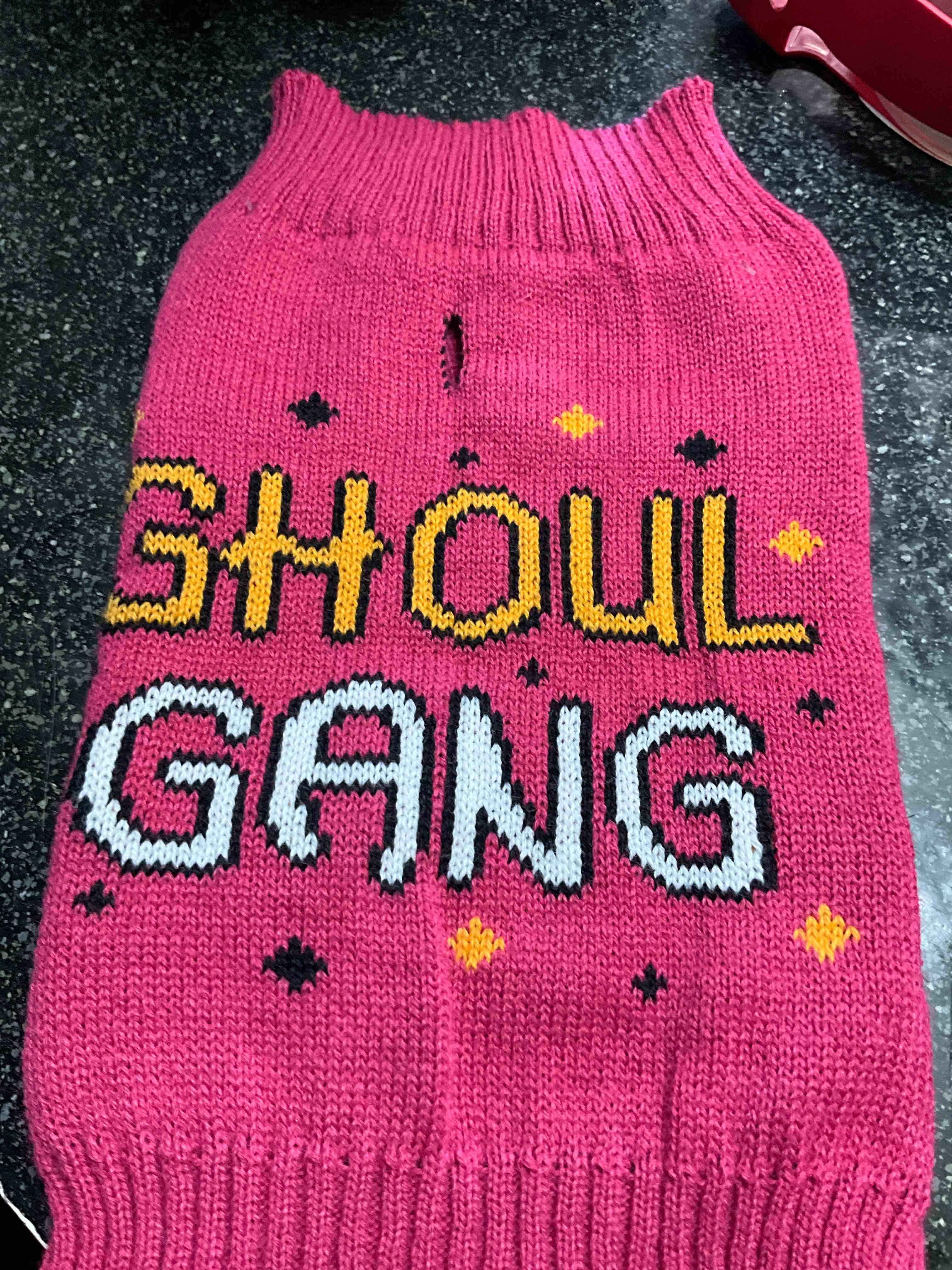 Condition photo showing New/Like New for Pet Sweater - Size - M 