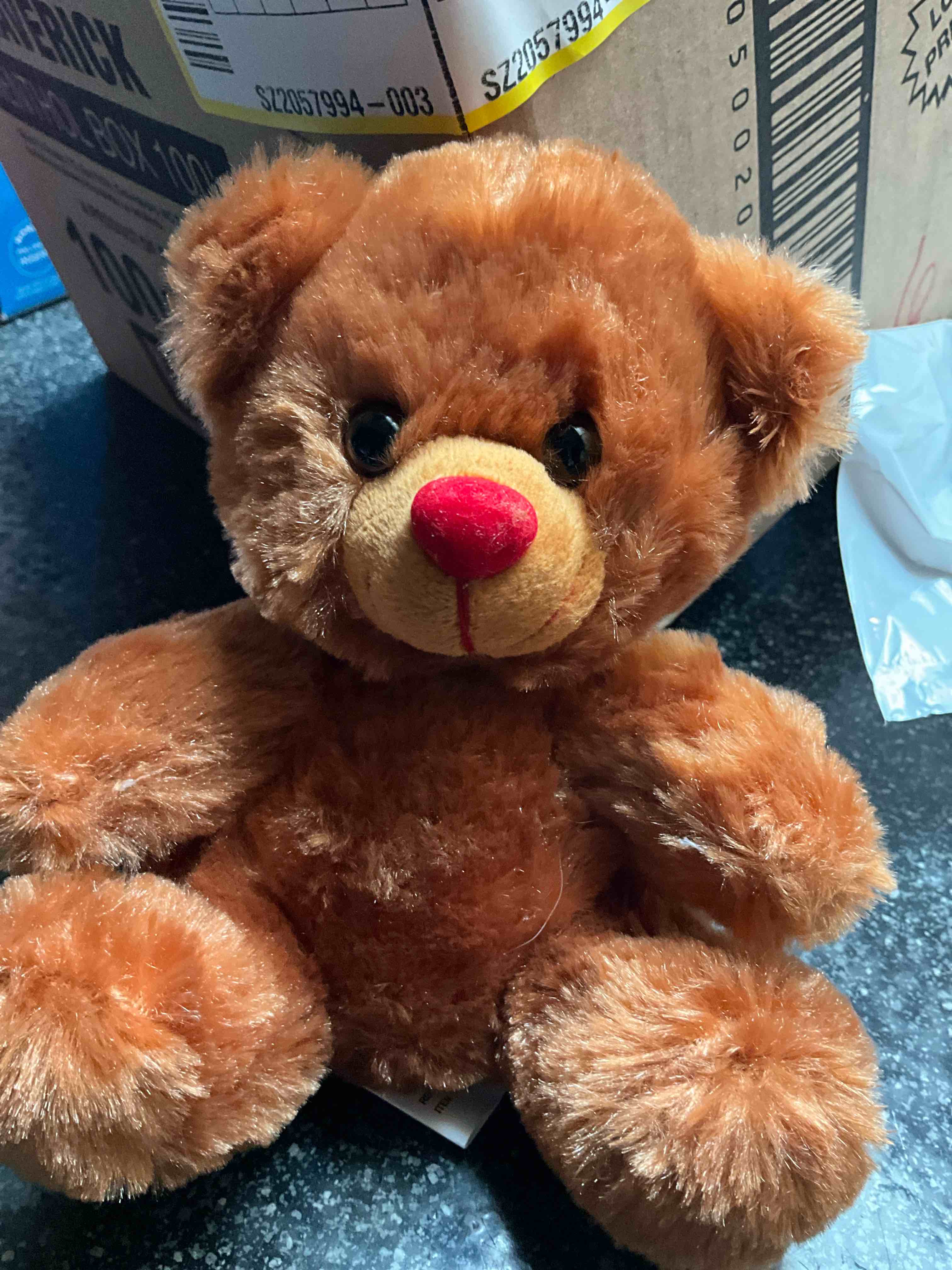 Condition photo showing New/Like New for Easter Basket Bear 