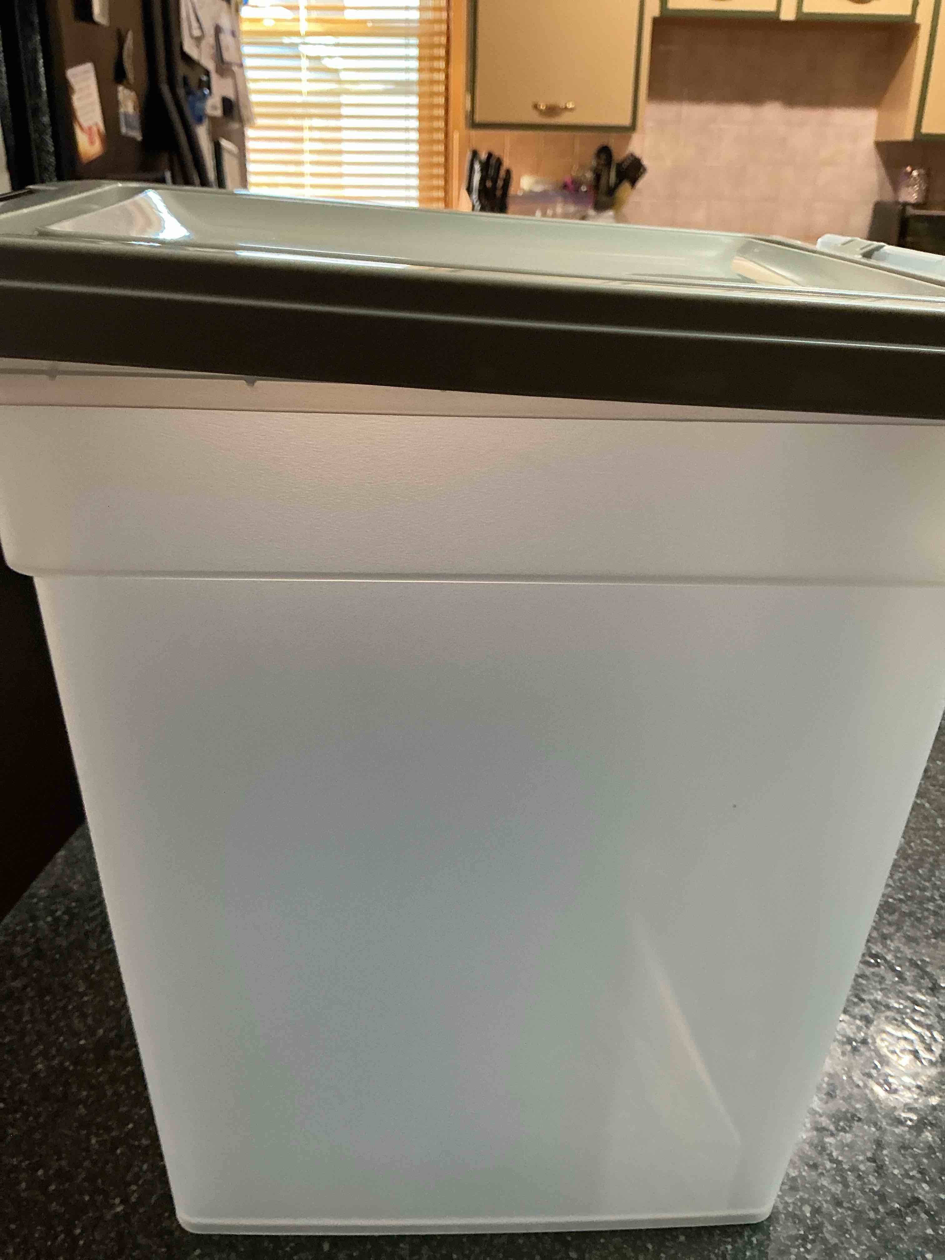 Ready - Set - Bid - Win!