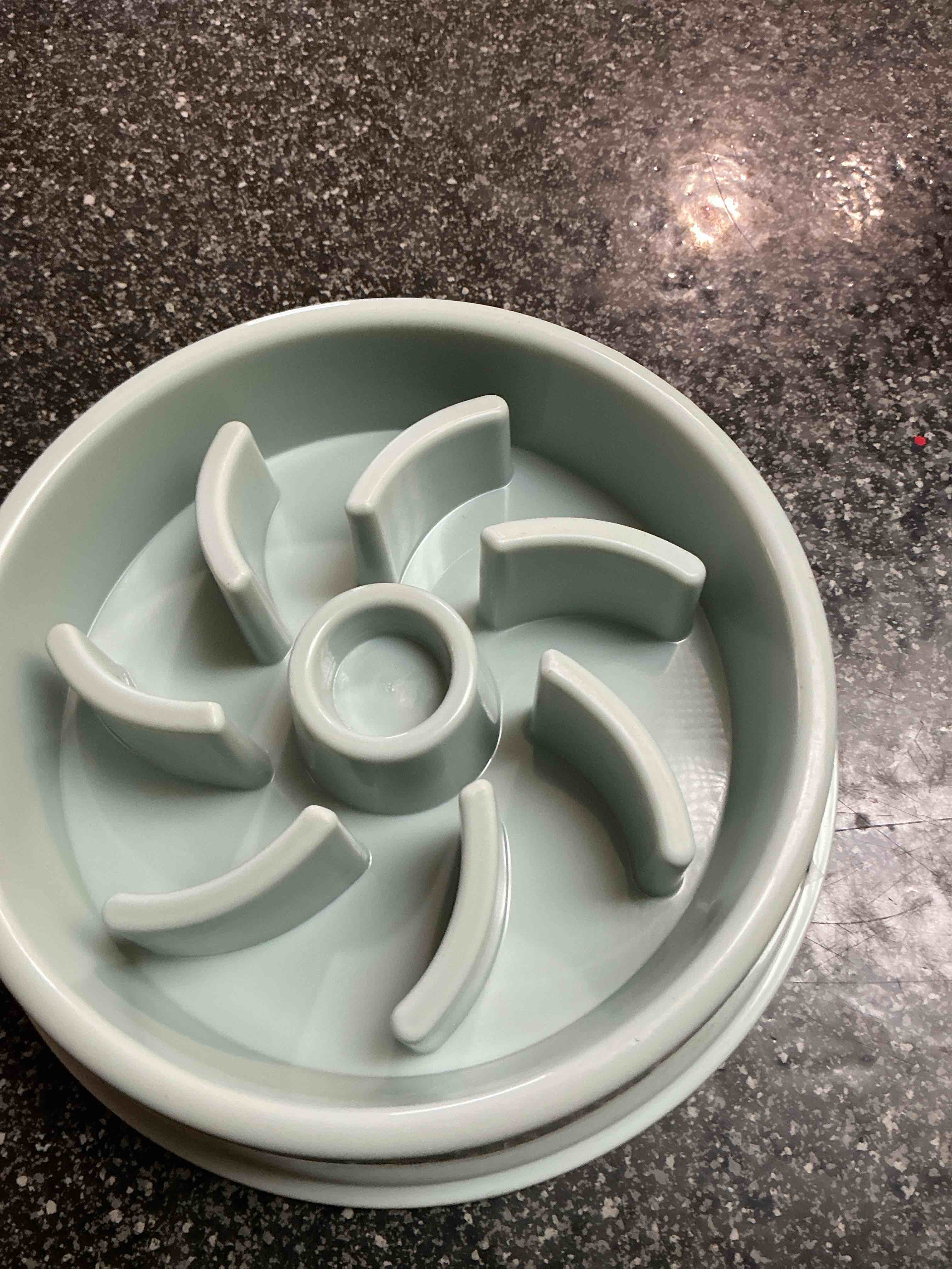 Ready - Set - Bid - Win!