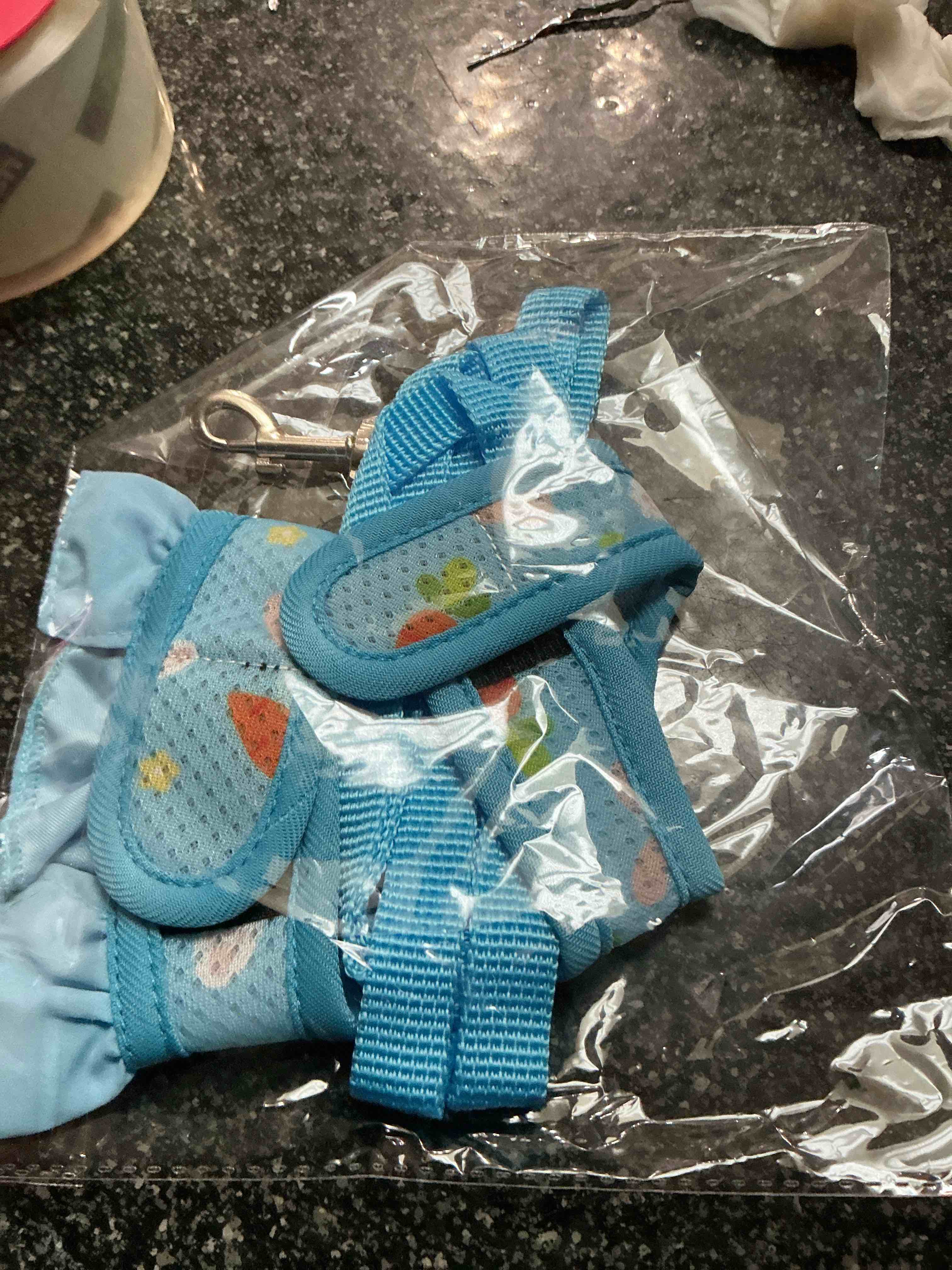 blue dog harness with a leash - size s 
