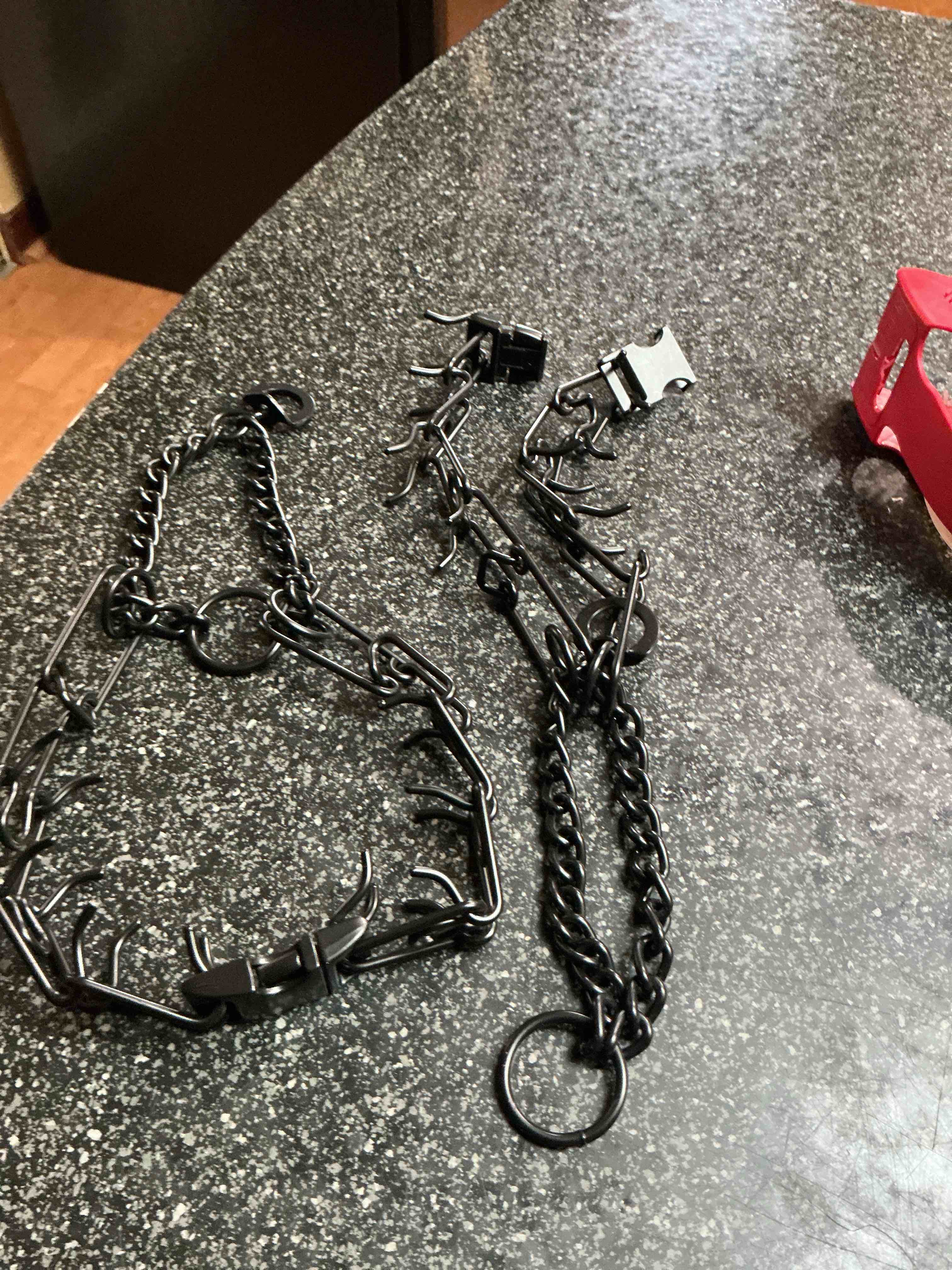 Condition photo showing New/Like New for Top - Paw NO - Pull Prong Dog Collar 