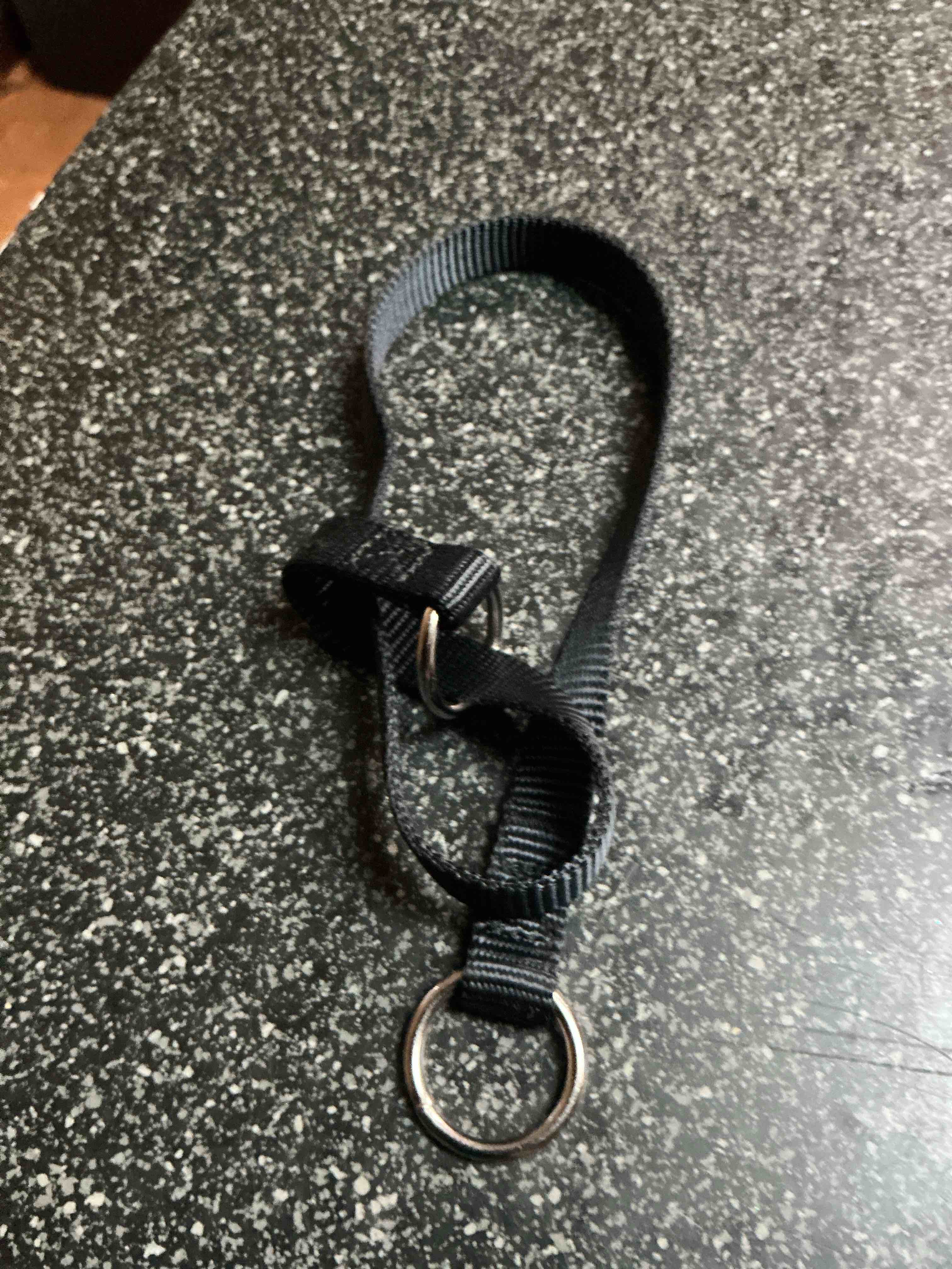 Black Dog Collar 