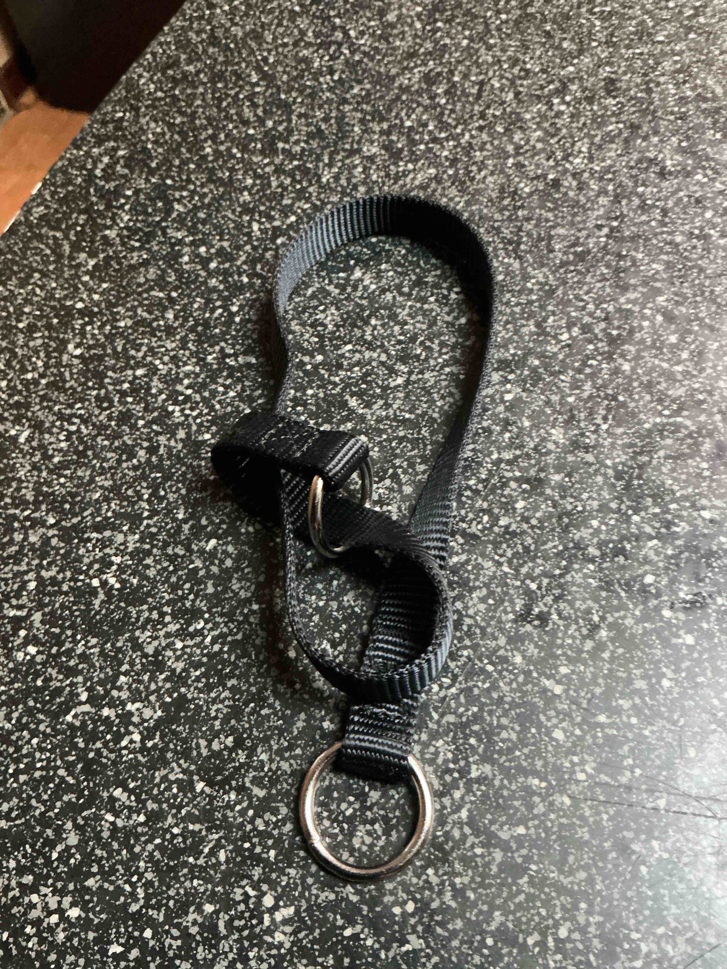 Condition photo showing New/Like New for Black Dog Collar 