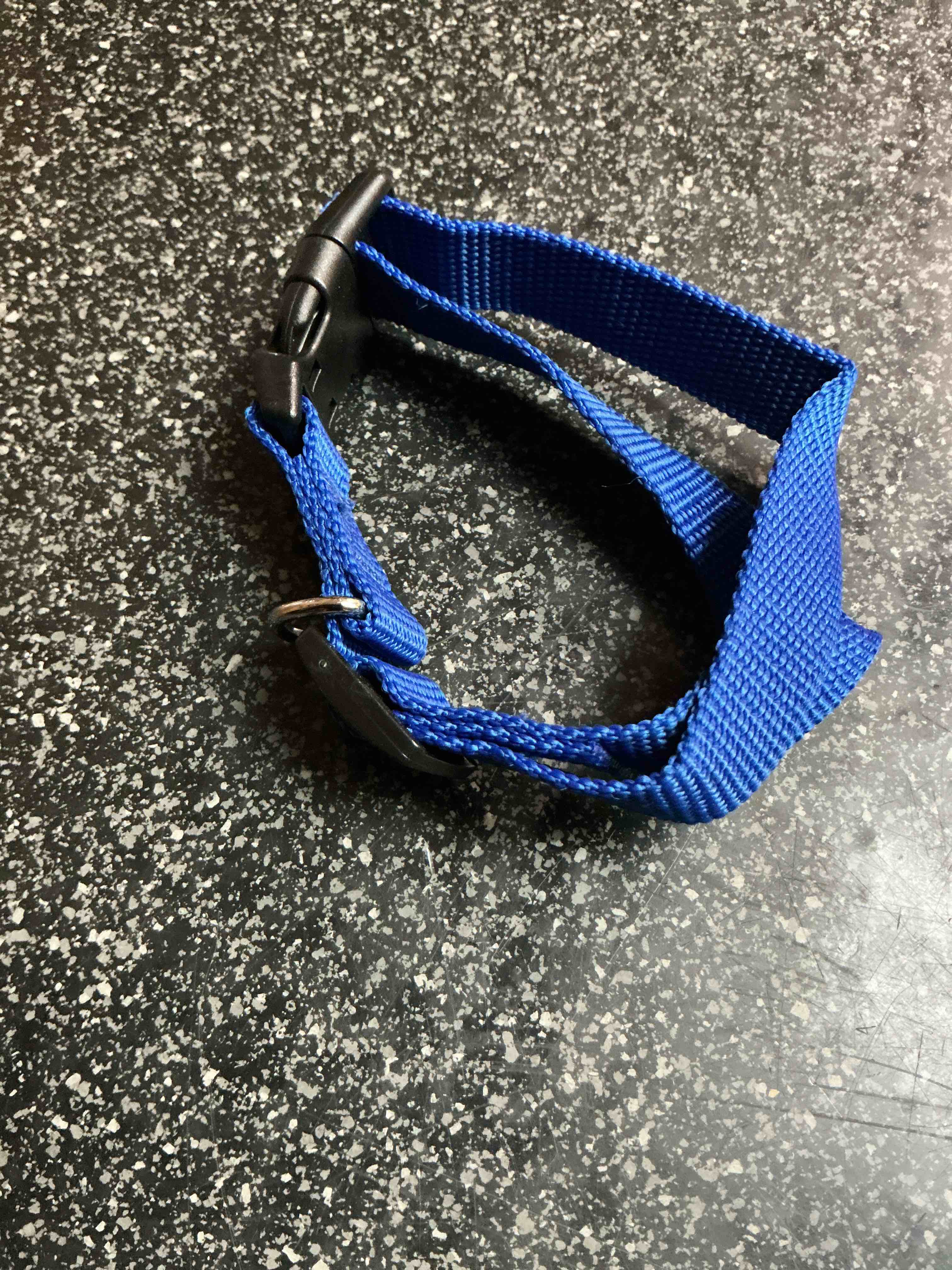 Condition photo showing New/Like New for Blue Dog Collar 