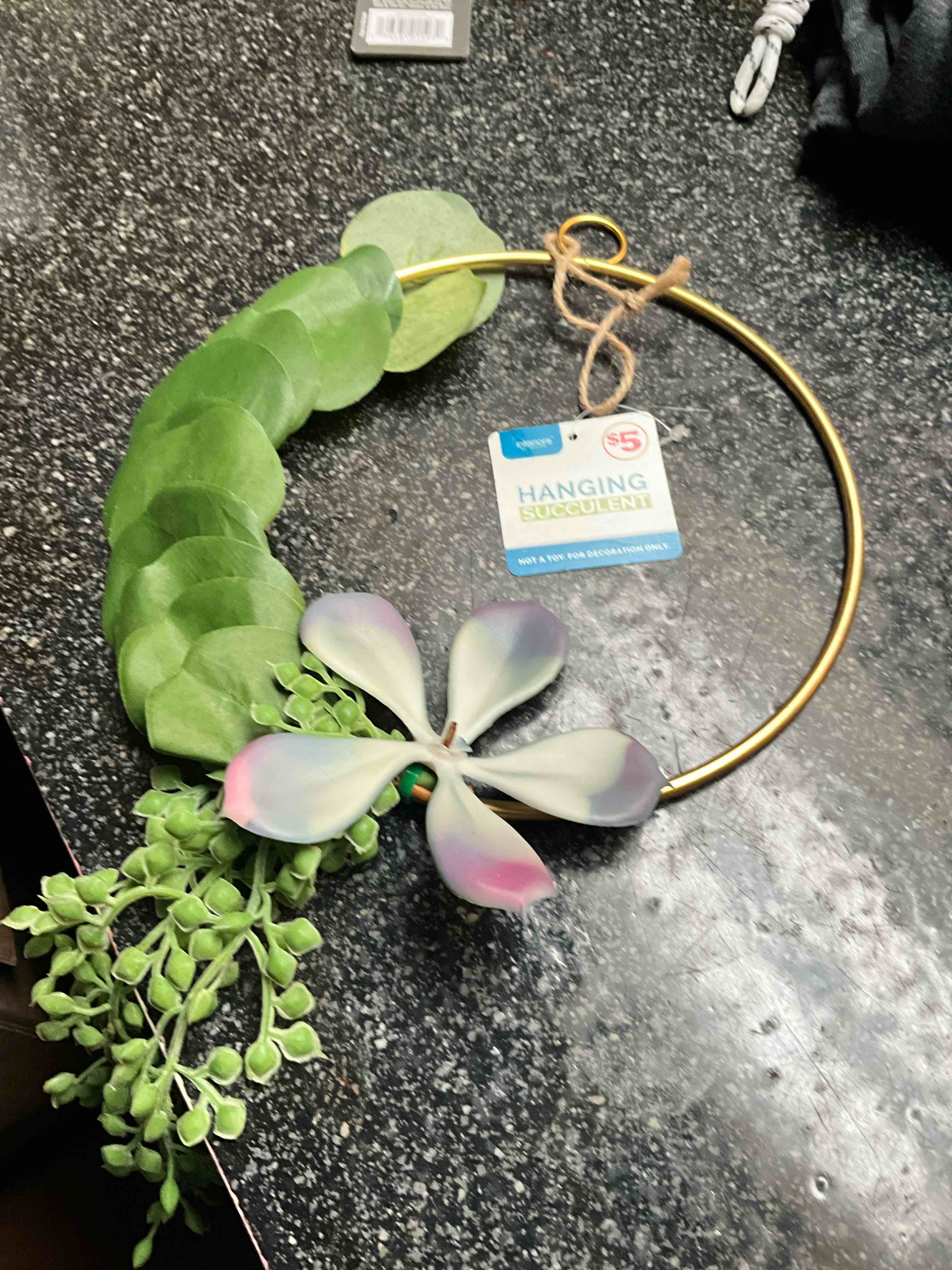 Condition photo showing New/Like New for Interiors By Design - Hanging Succulent 