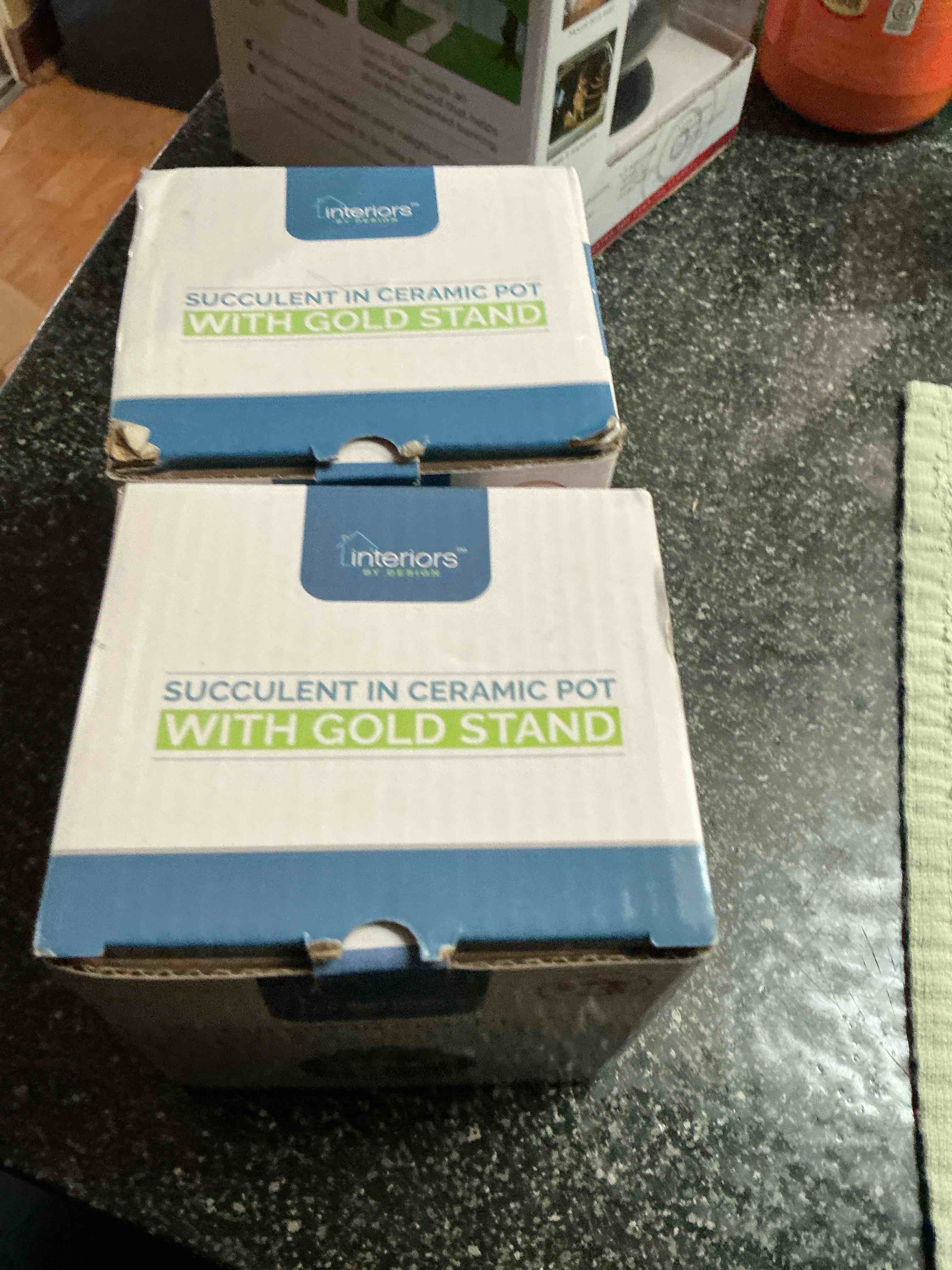 https://s3.amazonaws.com/lotting-images-prod/webster/WBS6321065_1775498780275.jpeg