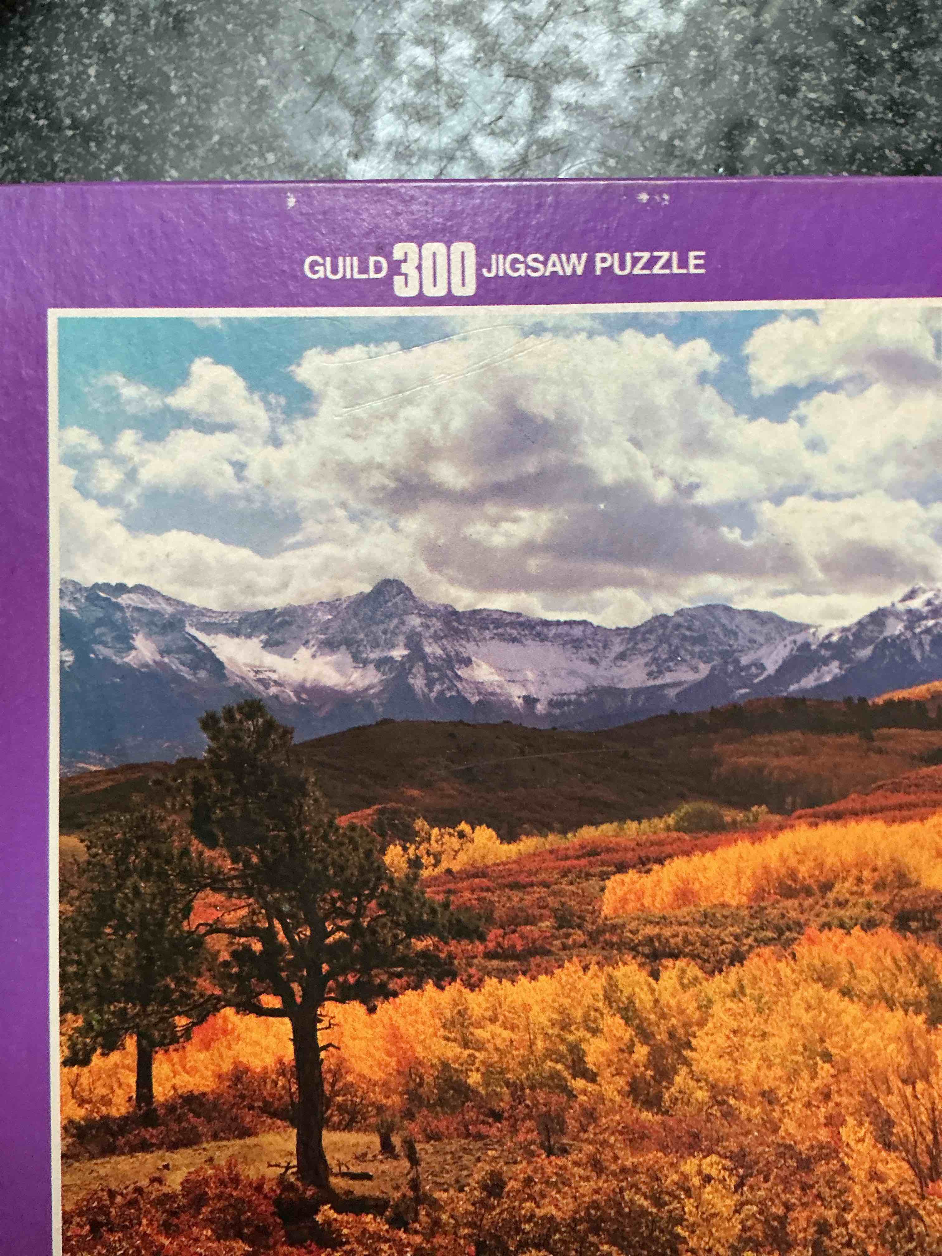 Guild 300 Jigsaw Puzzle Vintage Retro
