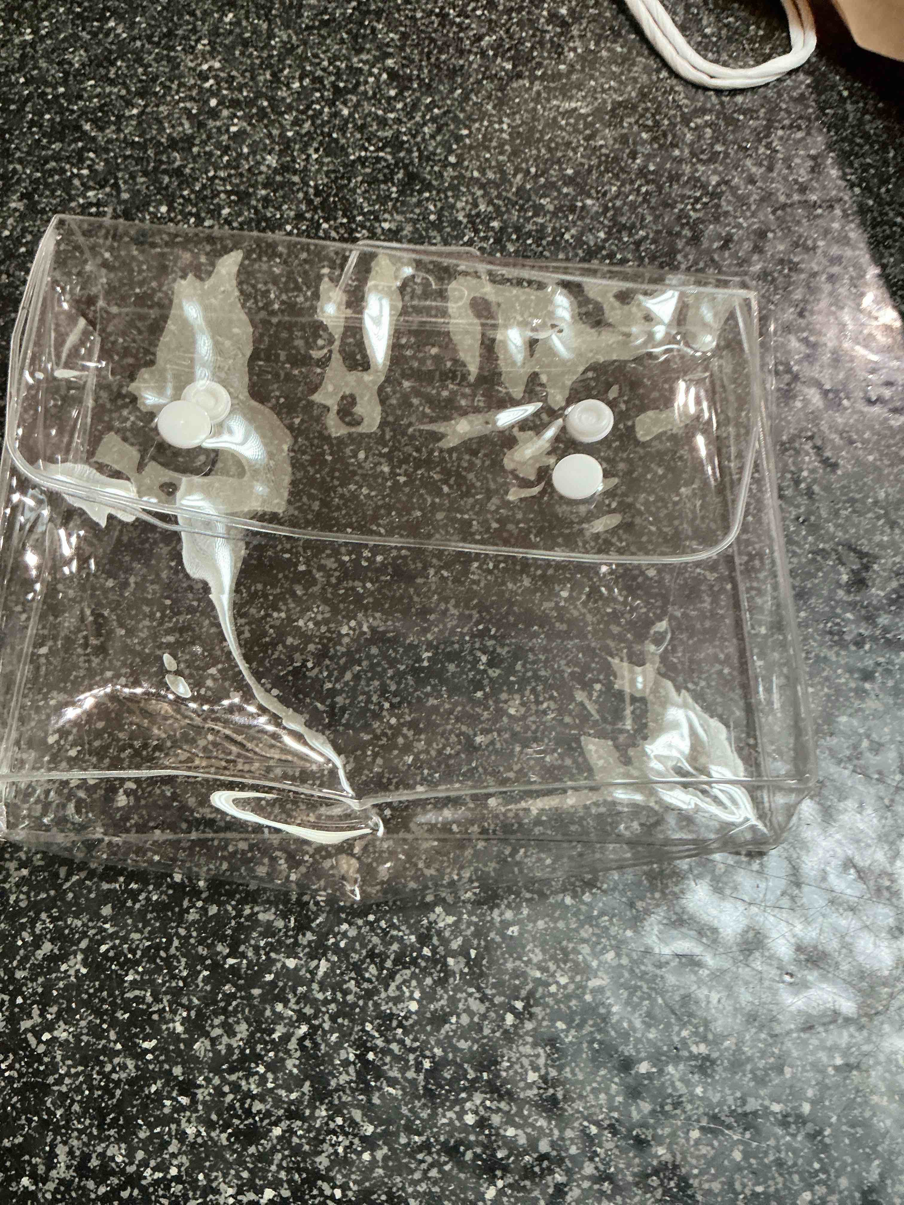 Clear Makeup Bag 