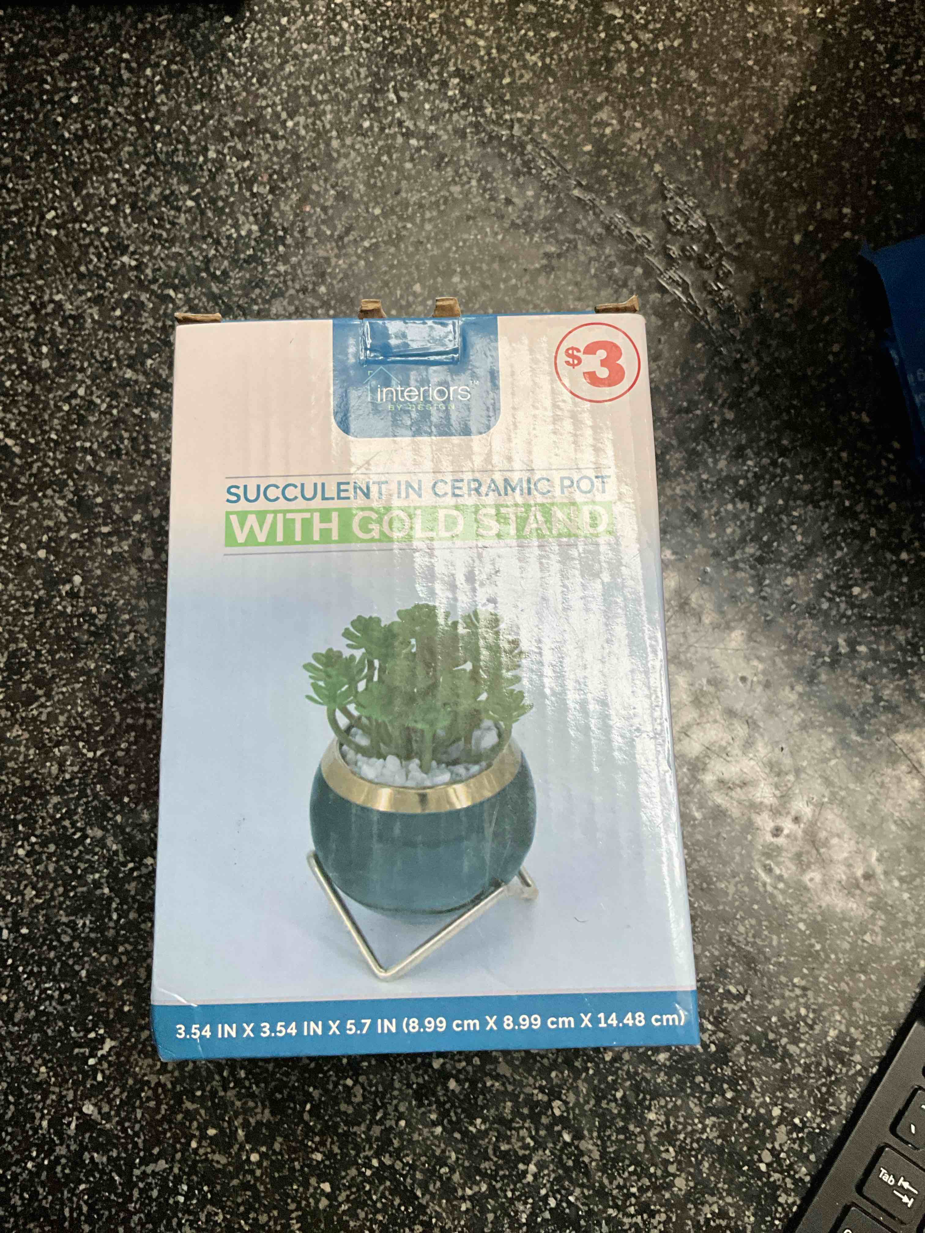 Fake Succulent Plant In A Ceramic Pot With Gold Accents  