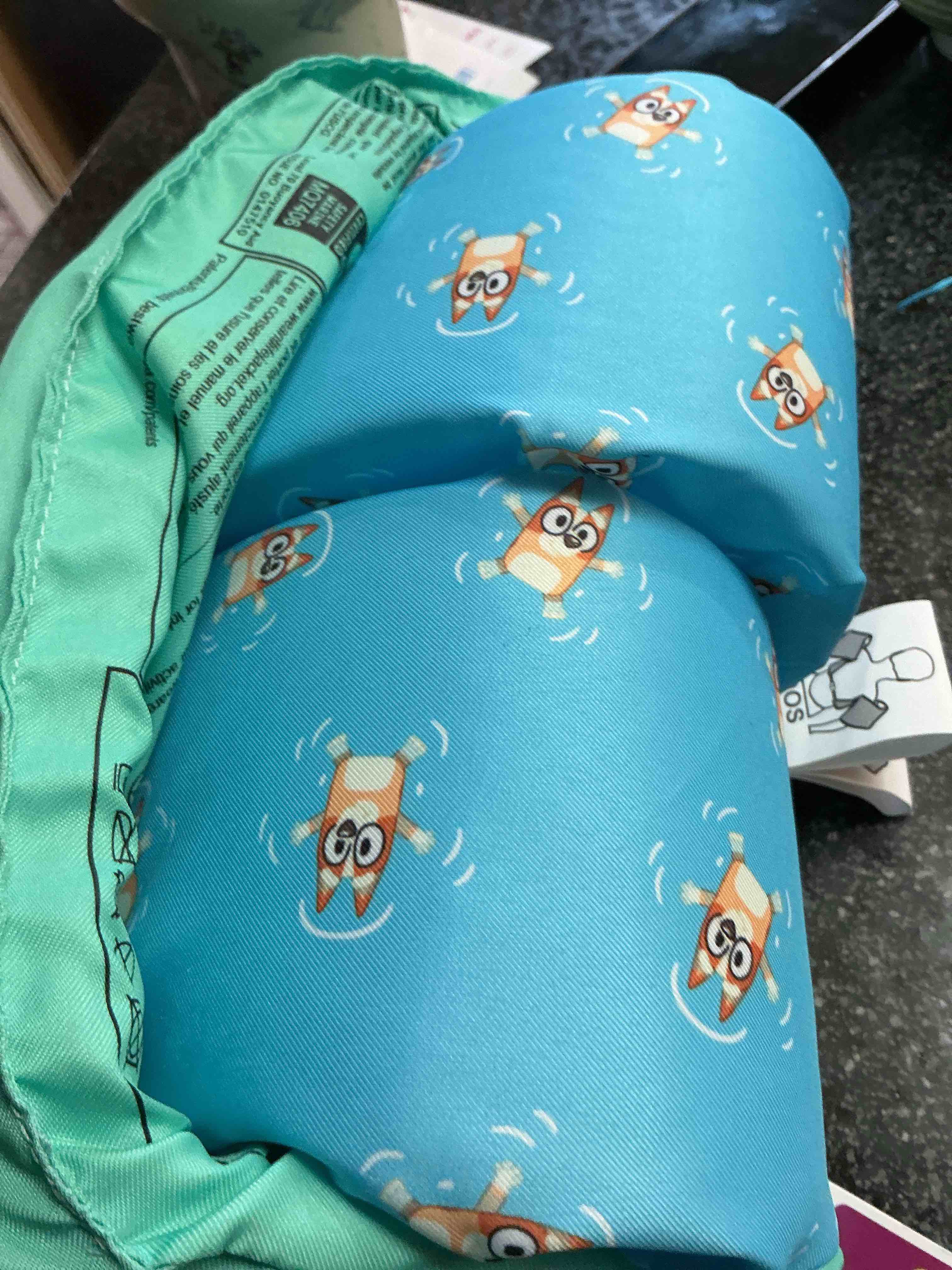 Bluey Child Life Vest 