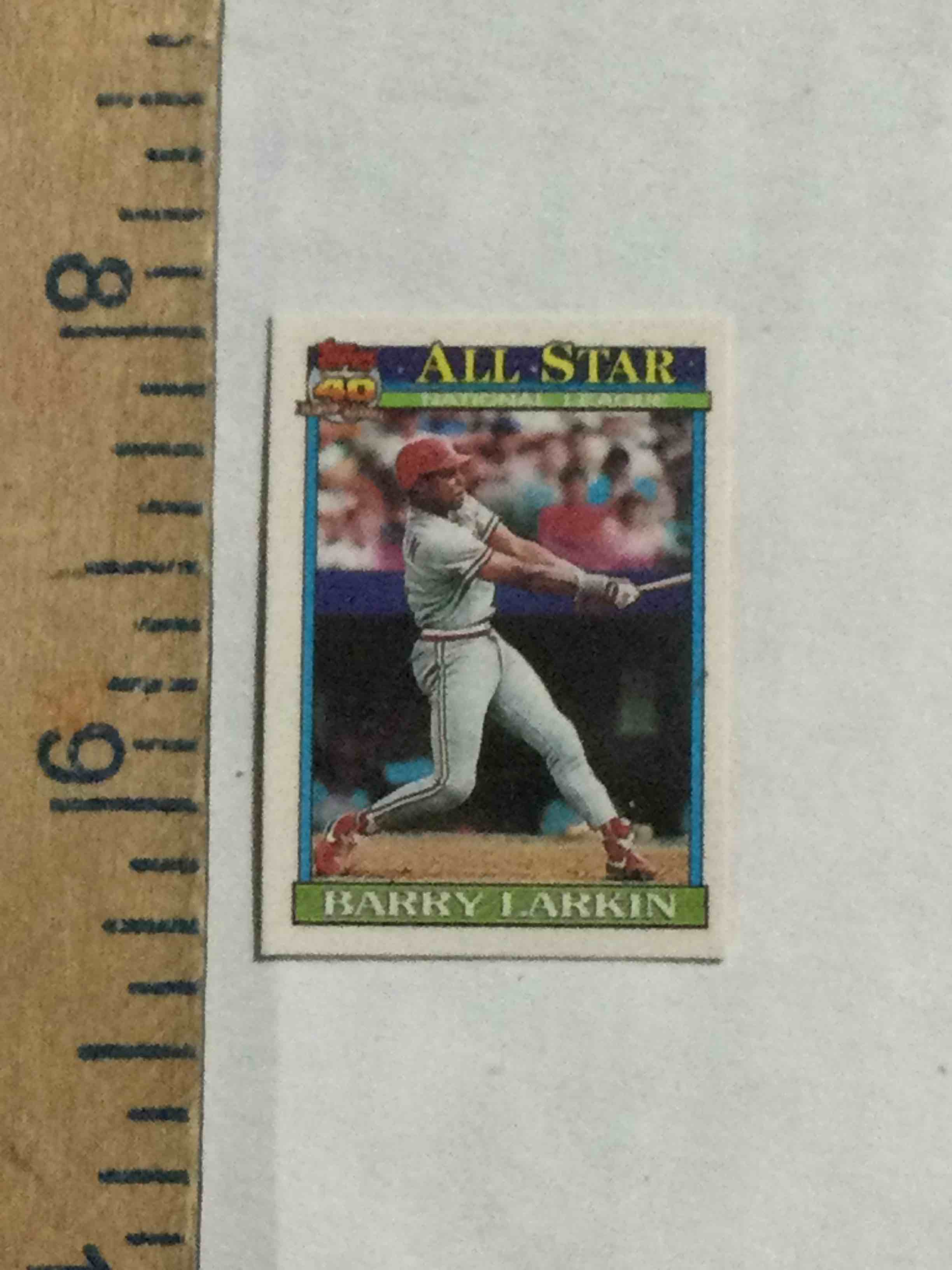 Bid & Win These Sports Collectibles