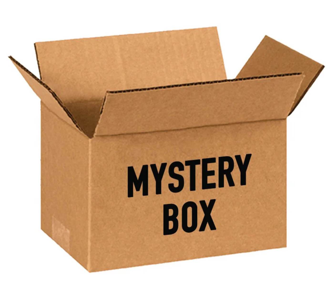??? Mystery ??? Box Large 17 W x 22 L x 10 H