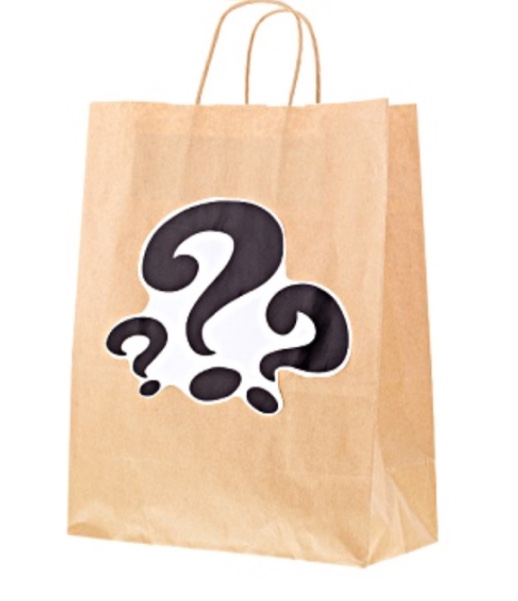 ??? Mystery ??? Jewelry Bag 