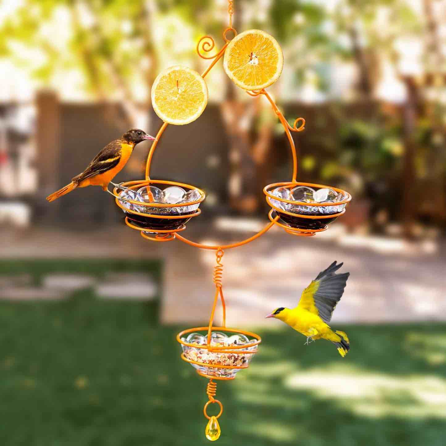 Orioles Bird Feeder Glass Dish 
