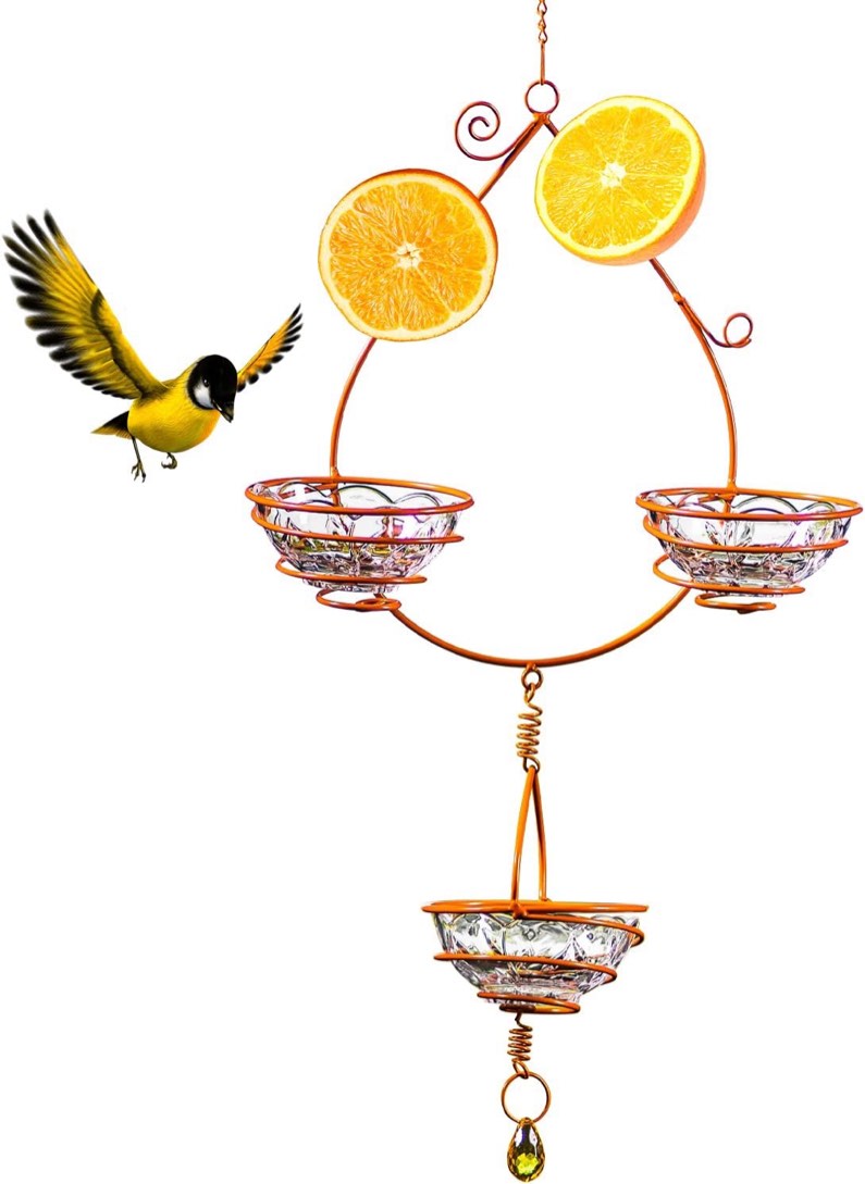 https://s3.amazonaws.com/lotting-images-prod/webster/WBS6601120_1760126872869.jpeg