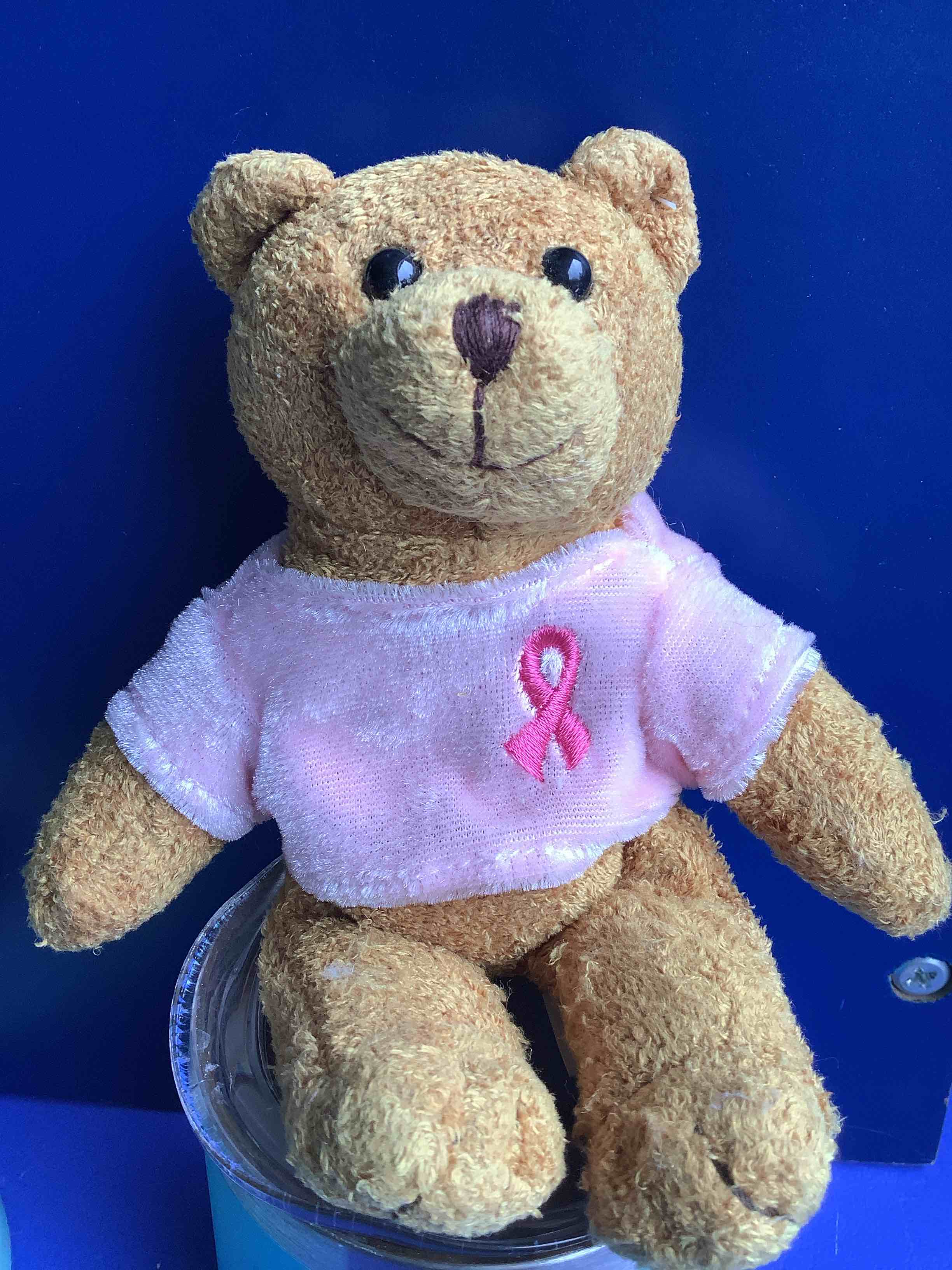 Avon Cancer Crusade 2001 Teddy Bear 