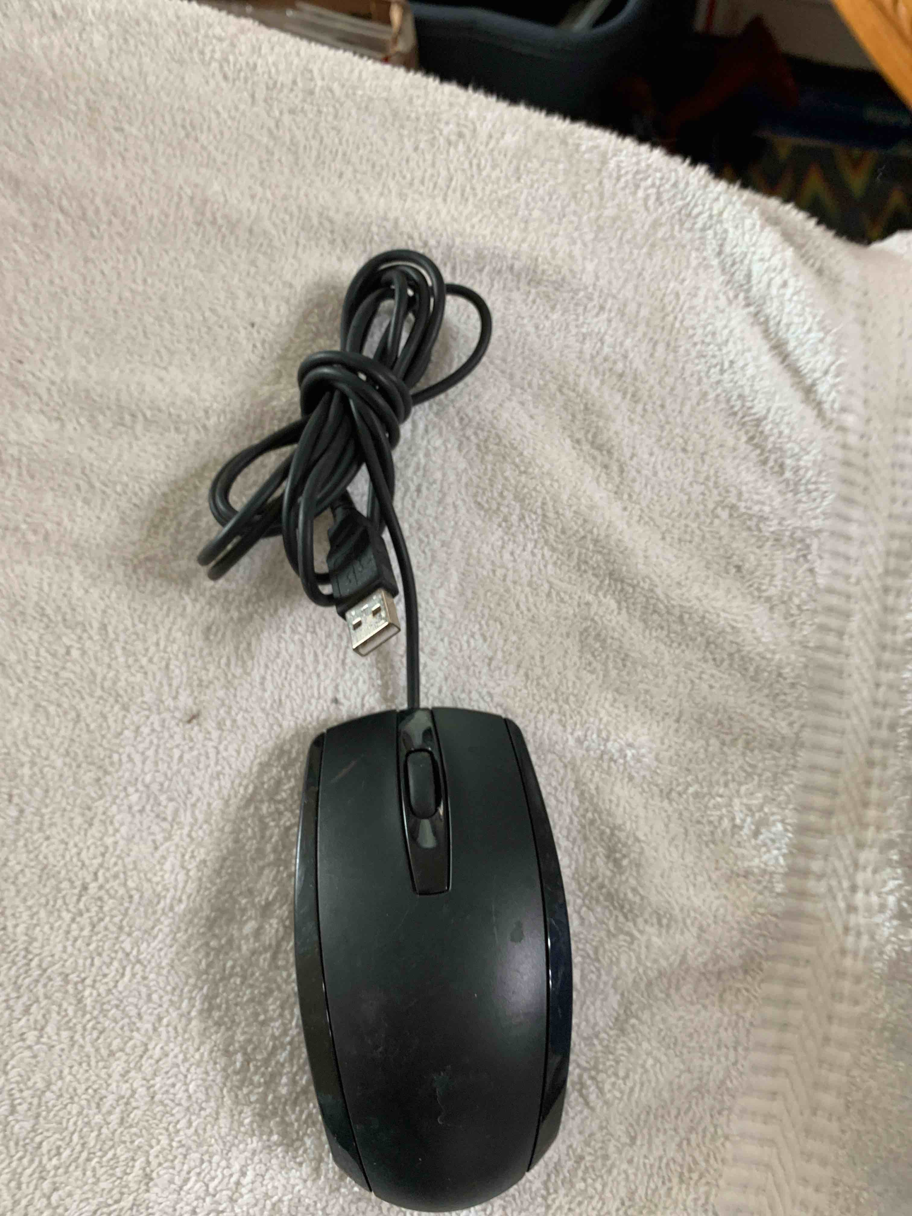 https://s3.amazonaws.com/lotting-images-prod/webster/WBS6901121_1748905908394.jpeg