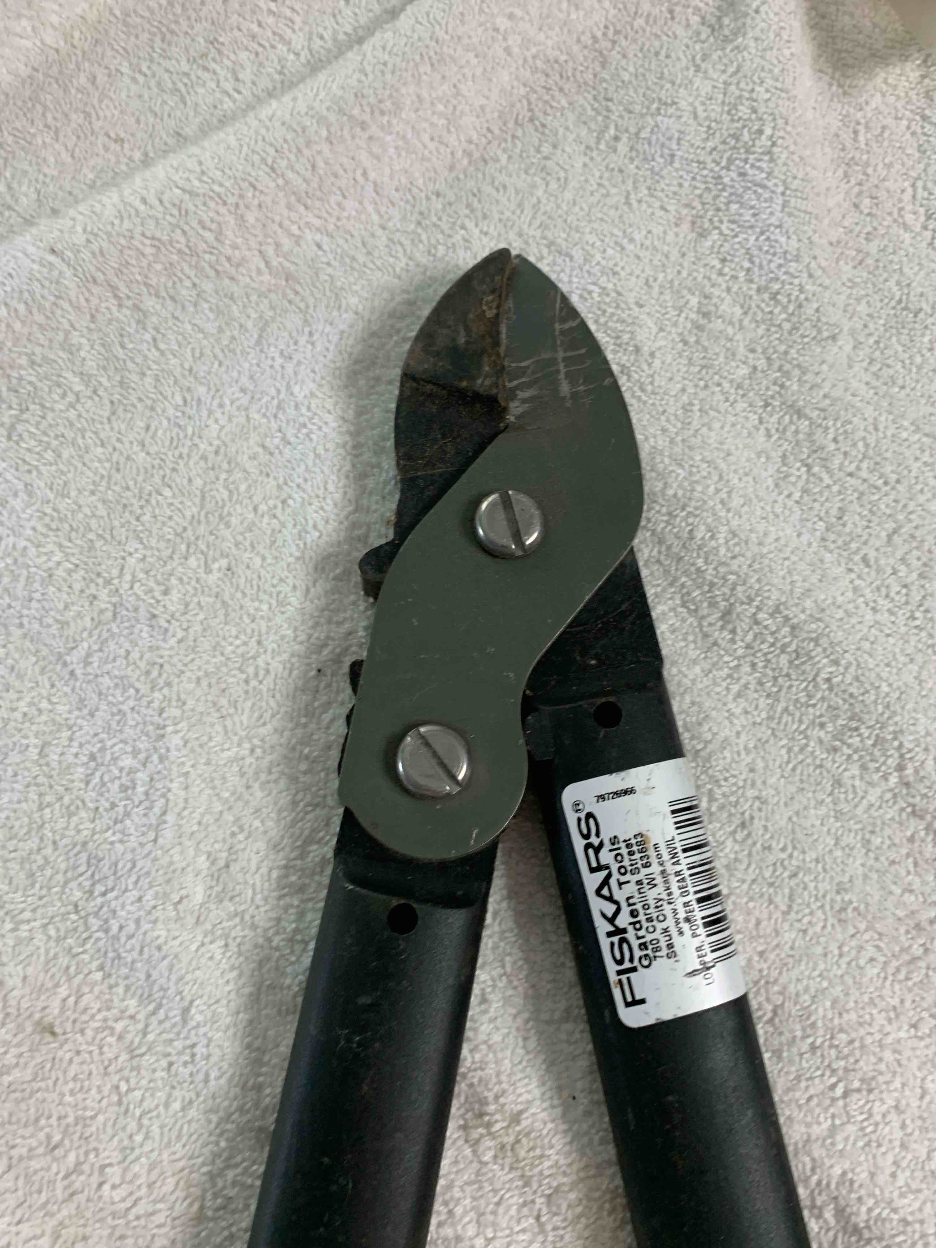 https://s3.amazonaws.com/lotting-images-prod/webster/WBS6901144_1749998239764.jpeg