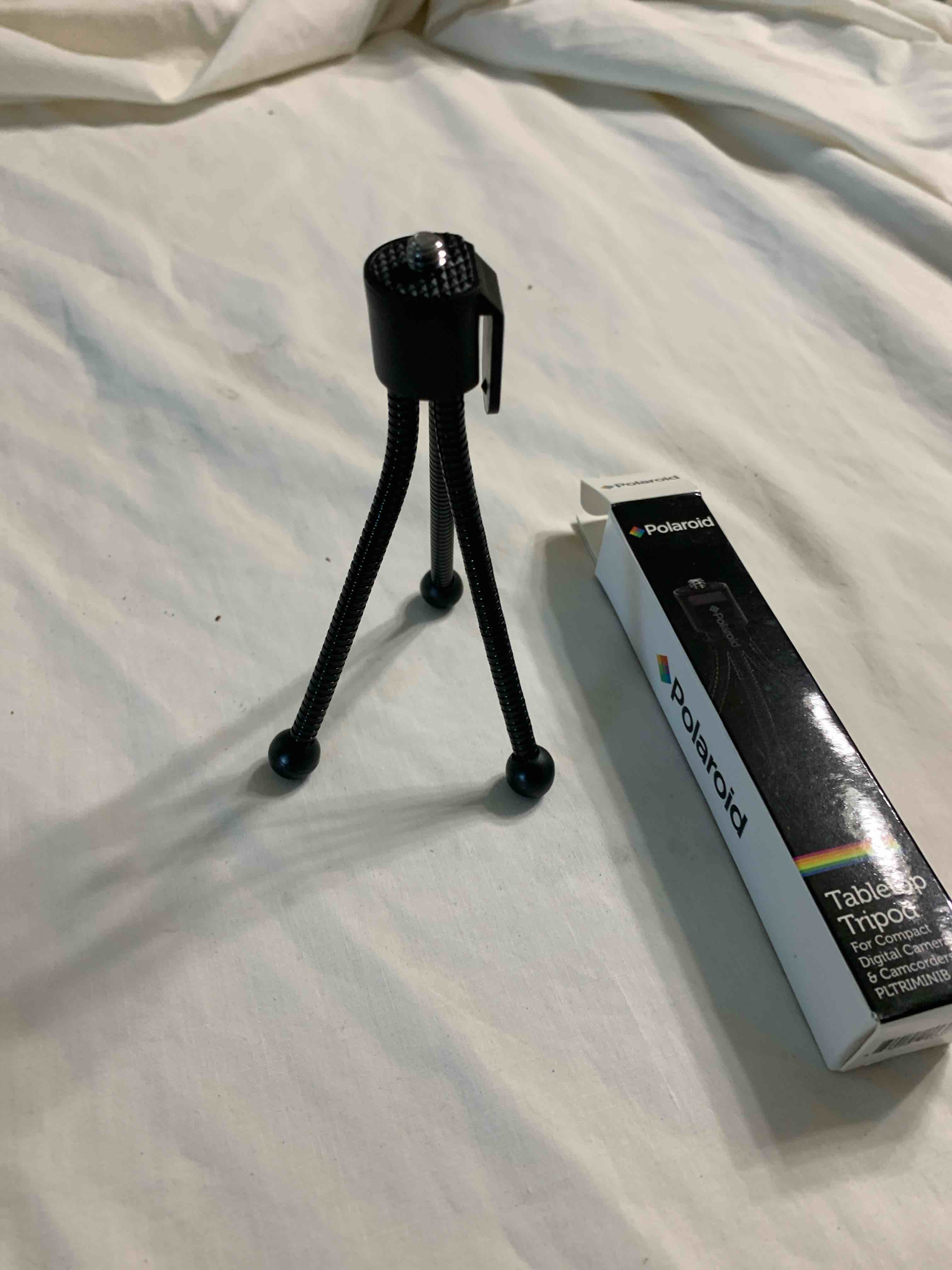 https://s3.amazonaws.com/lotting-images-prod/webster/WBS6901667_1756309373654.jpeg