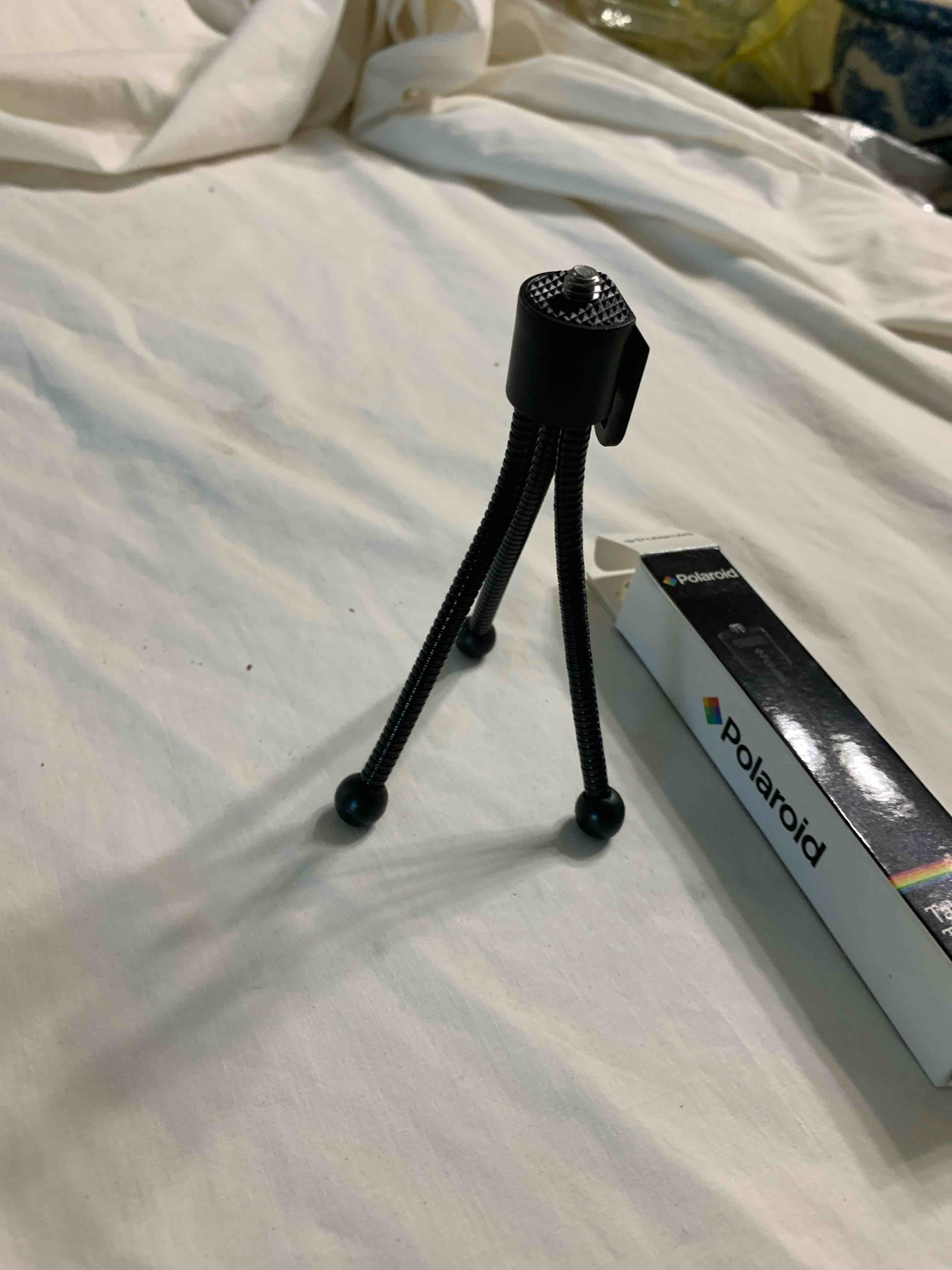 https://s3.amazonaws.com/lotting-images-prod/webster/WBS6901667_1756309375426.jpeg