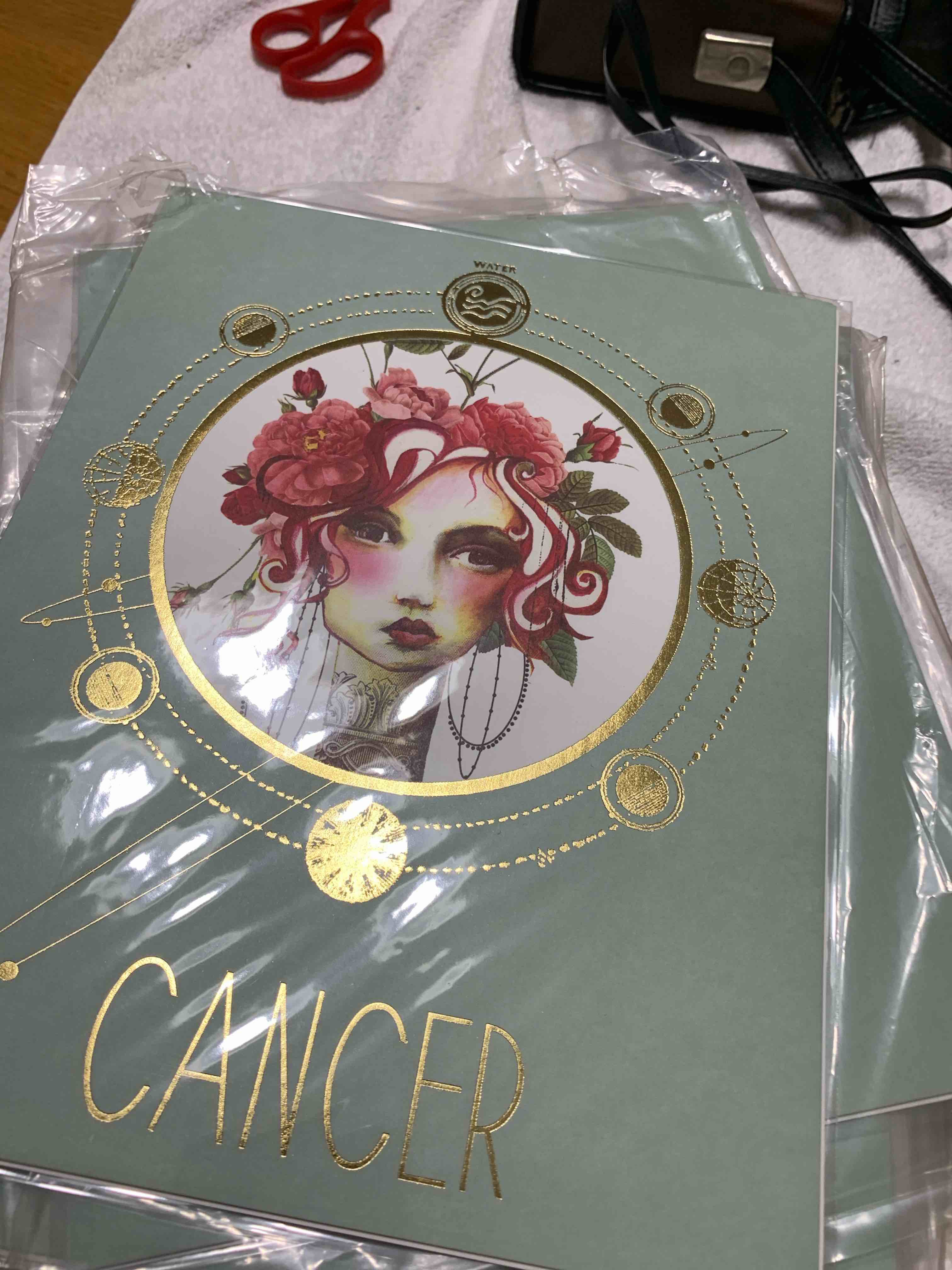 Lot of 50 Cancer, Zodiac Posters, 8” X 10”