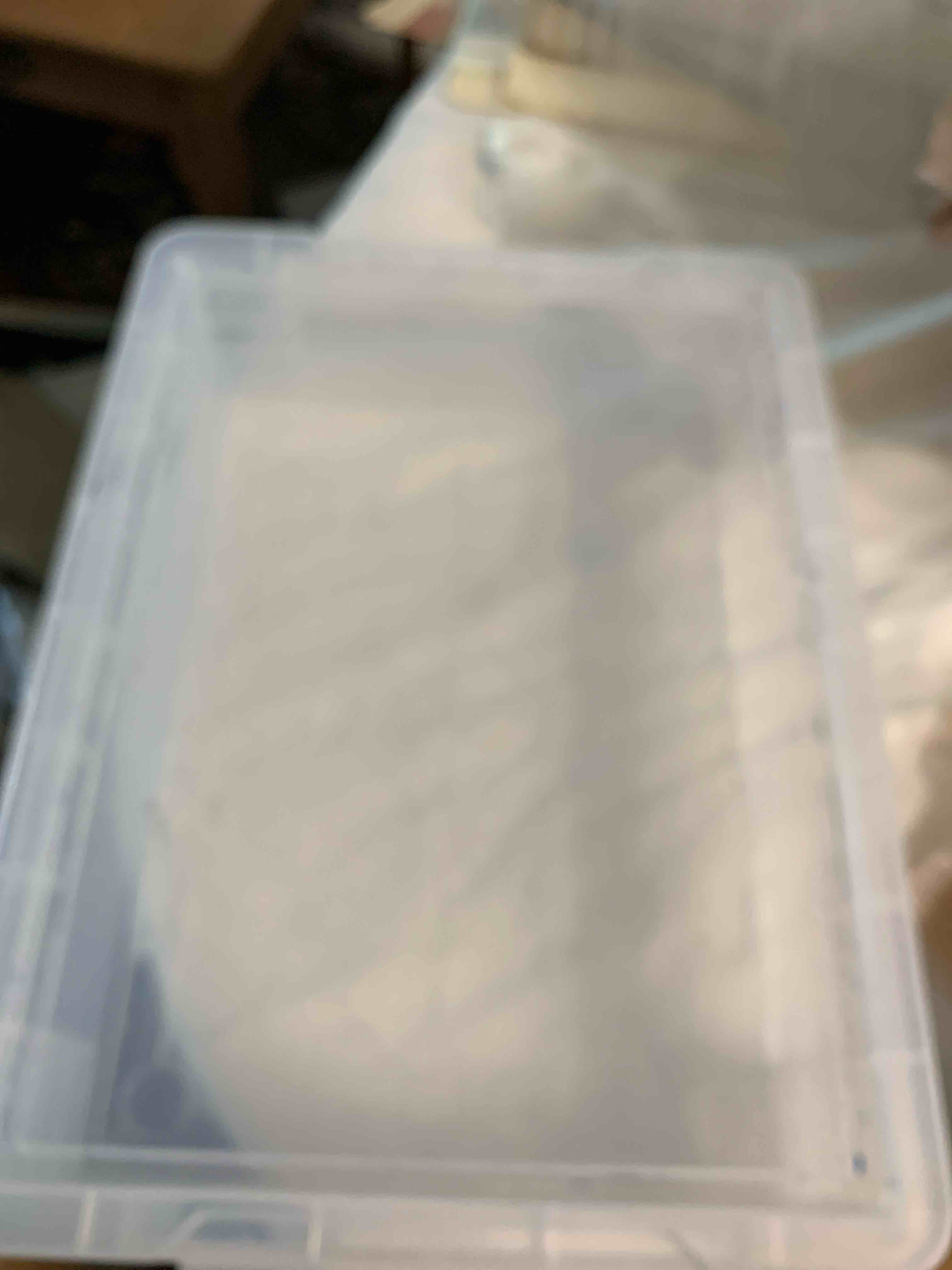 Clear Plastic Container with Lid, 10” X 14” X 3”