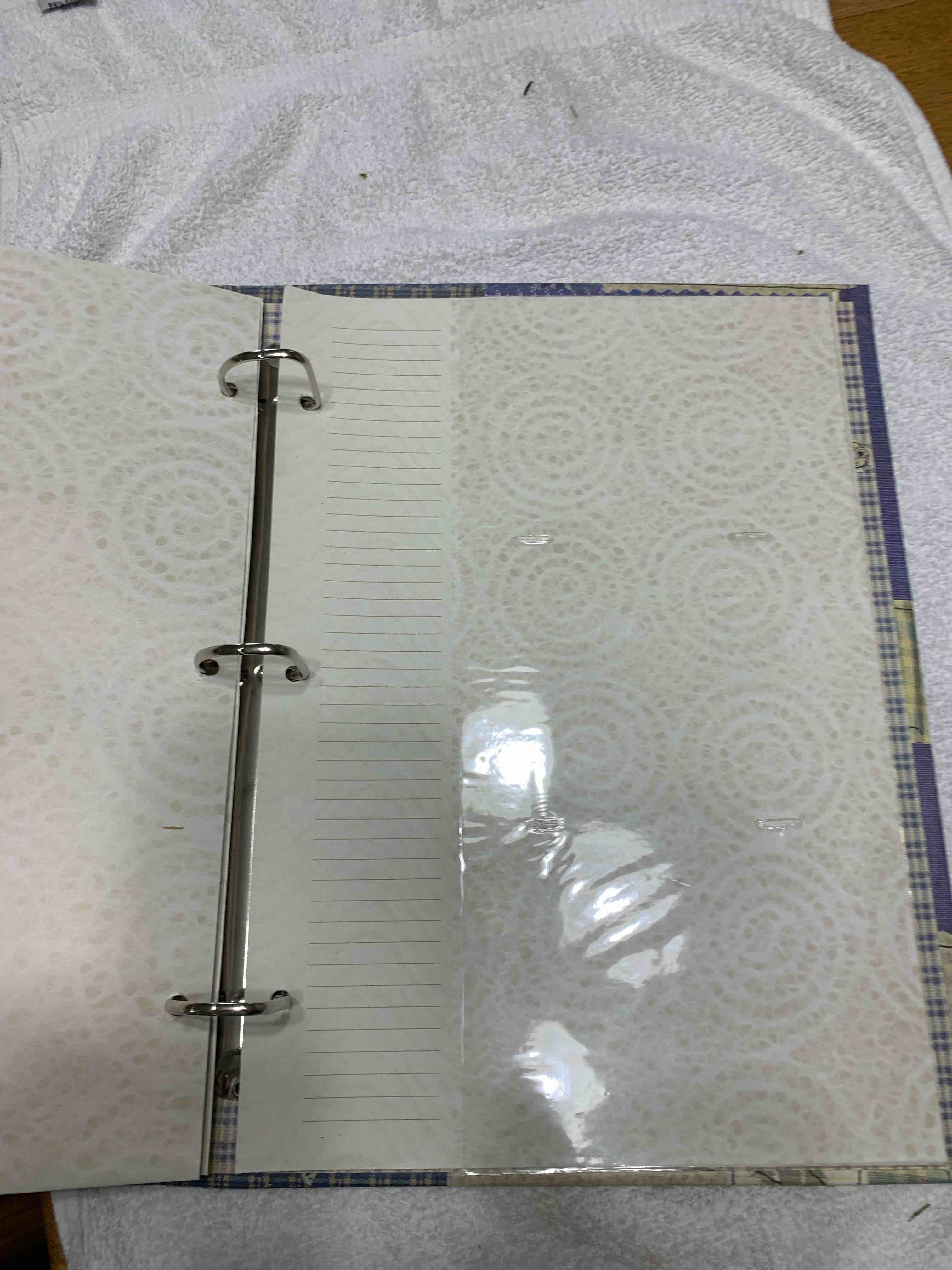 https://s3.amazonaws.com/lotting-images-prod/webster/WBS6901983_1760118858790.jpeg