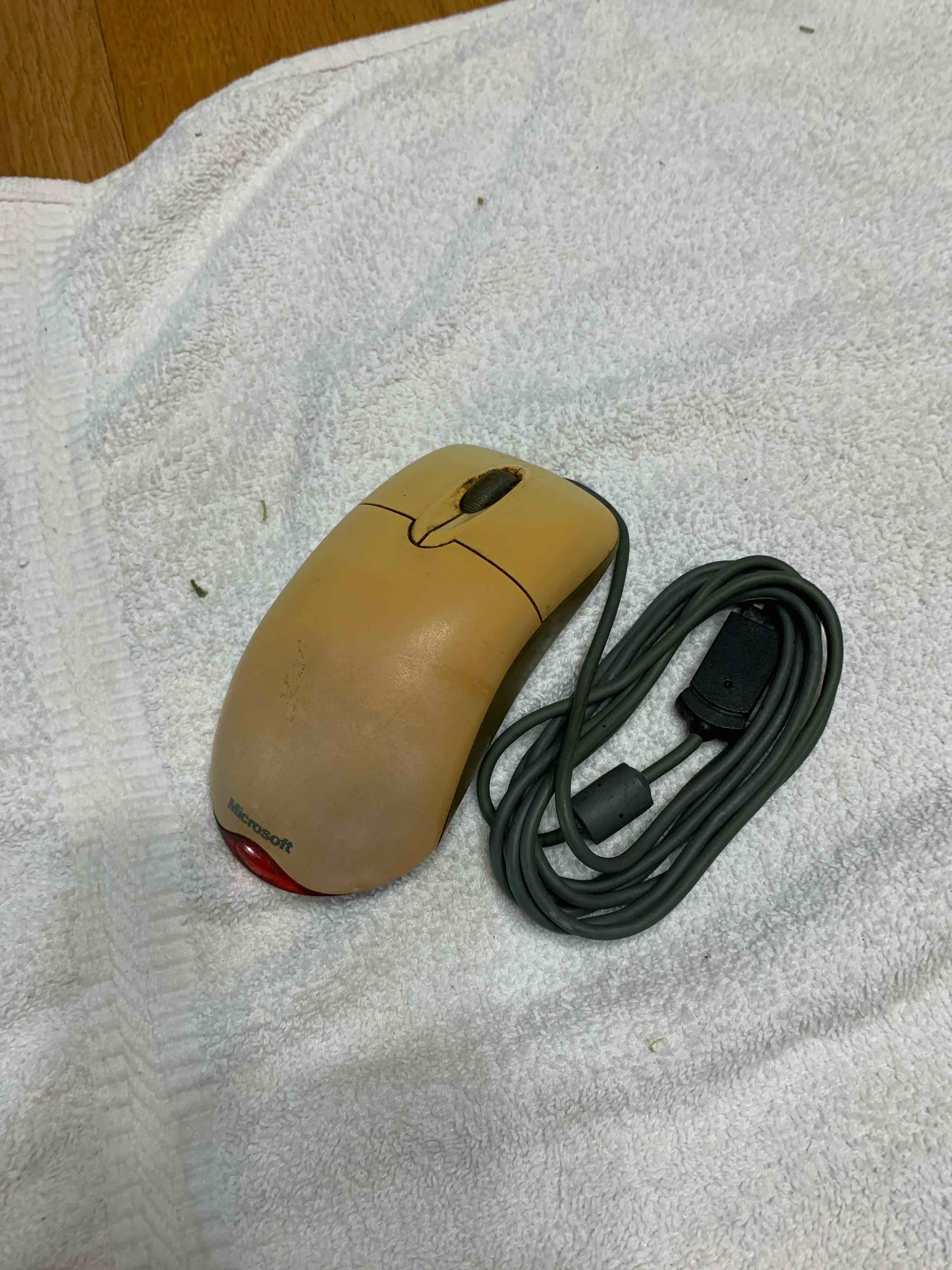 microsoft wired mouse 