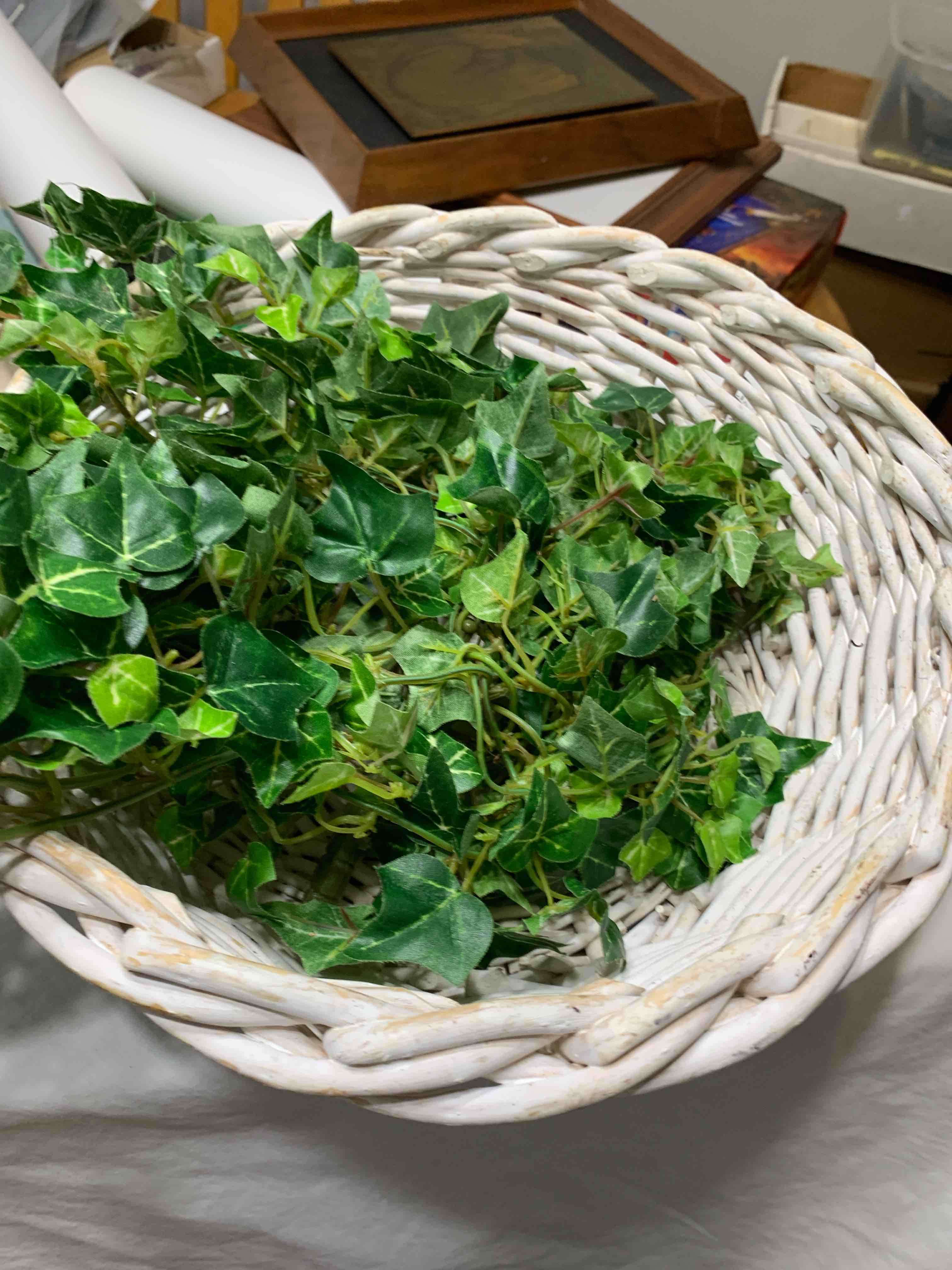 White Basket with Ivy 12” X 4”