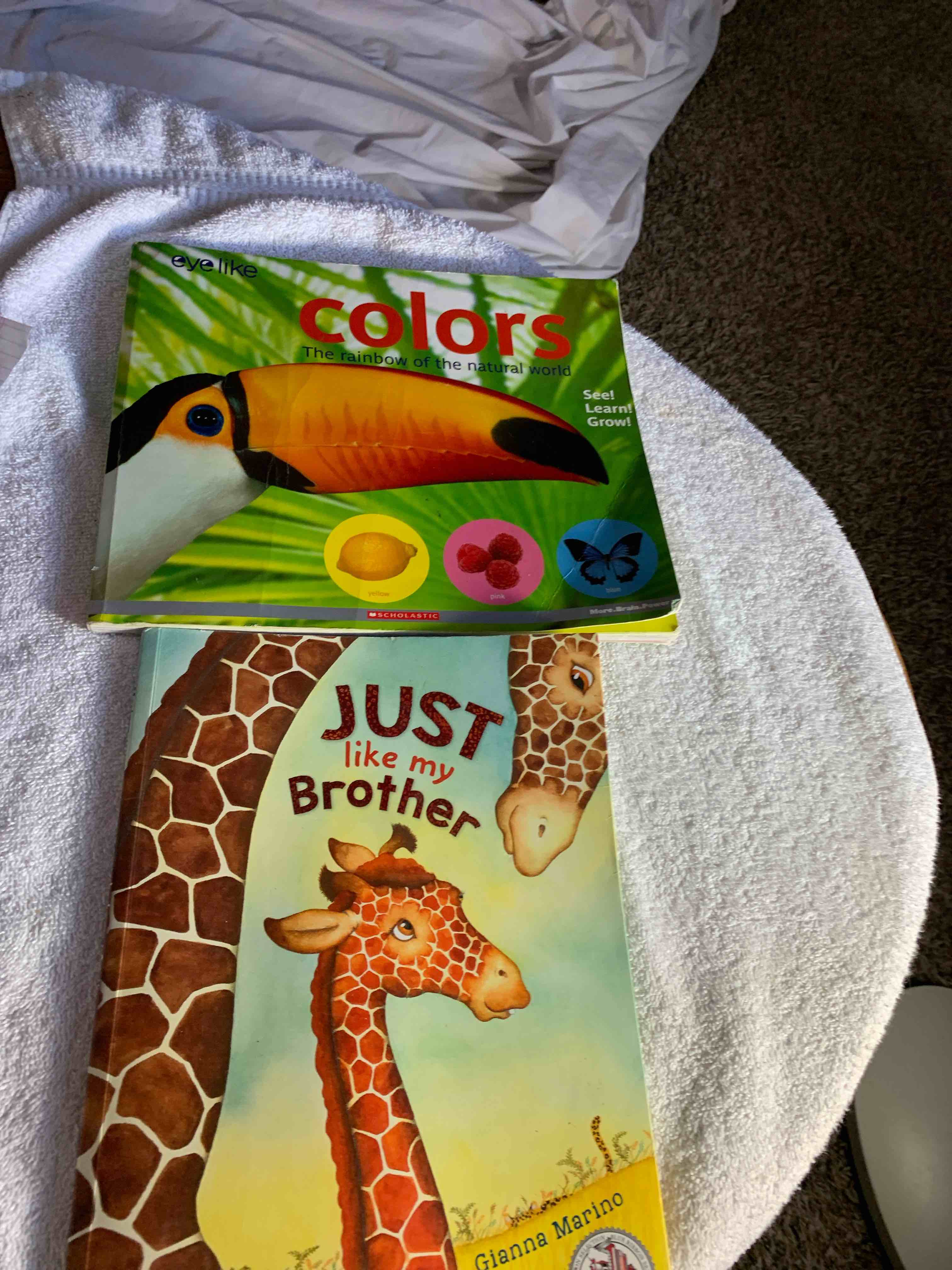 2- Children’s Books 