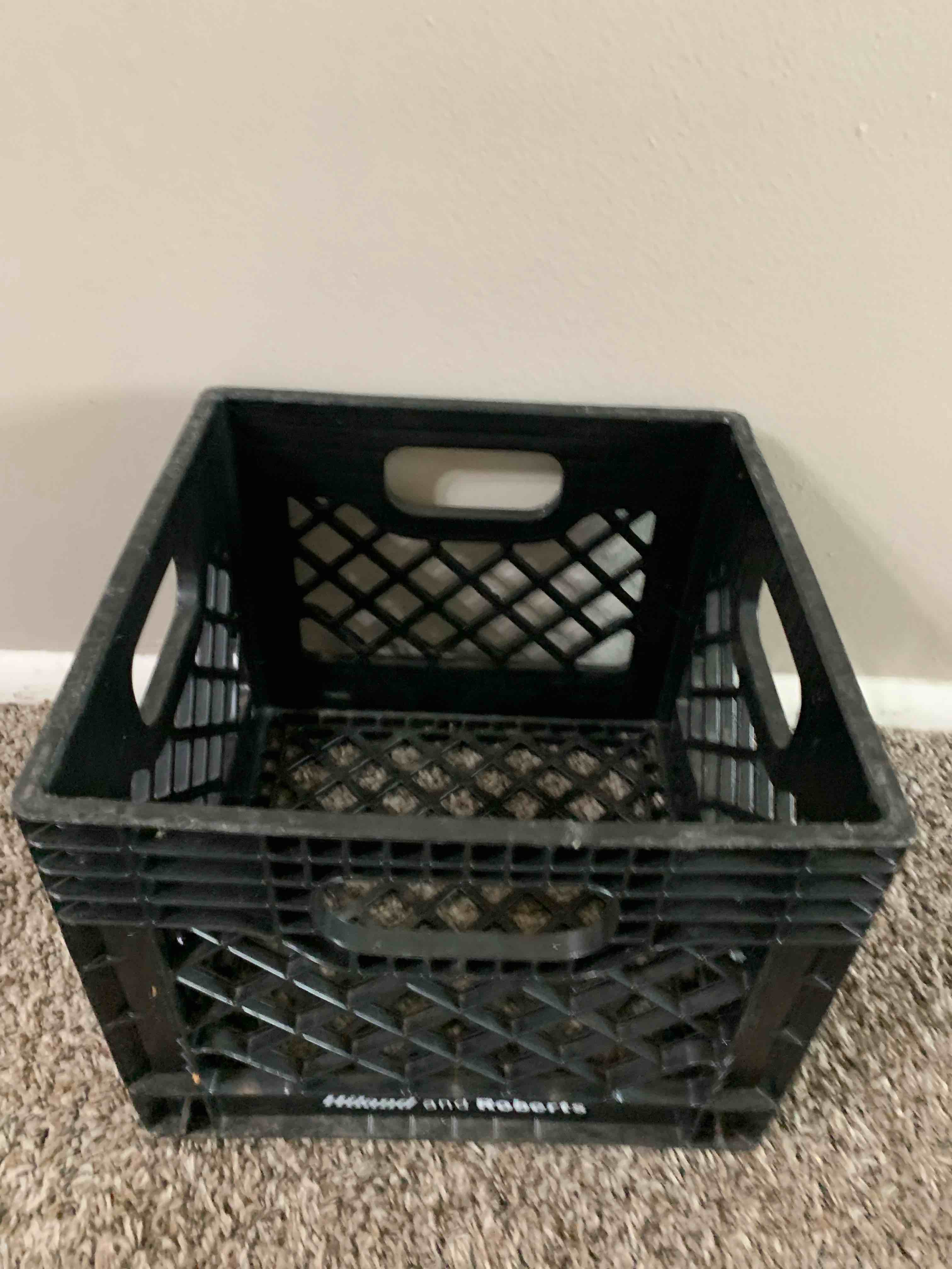 Condition photo showing Good Condition for Plastic Dairy Crate