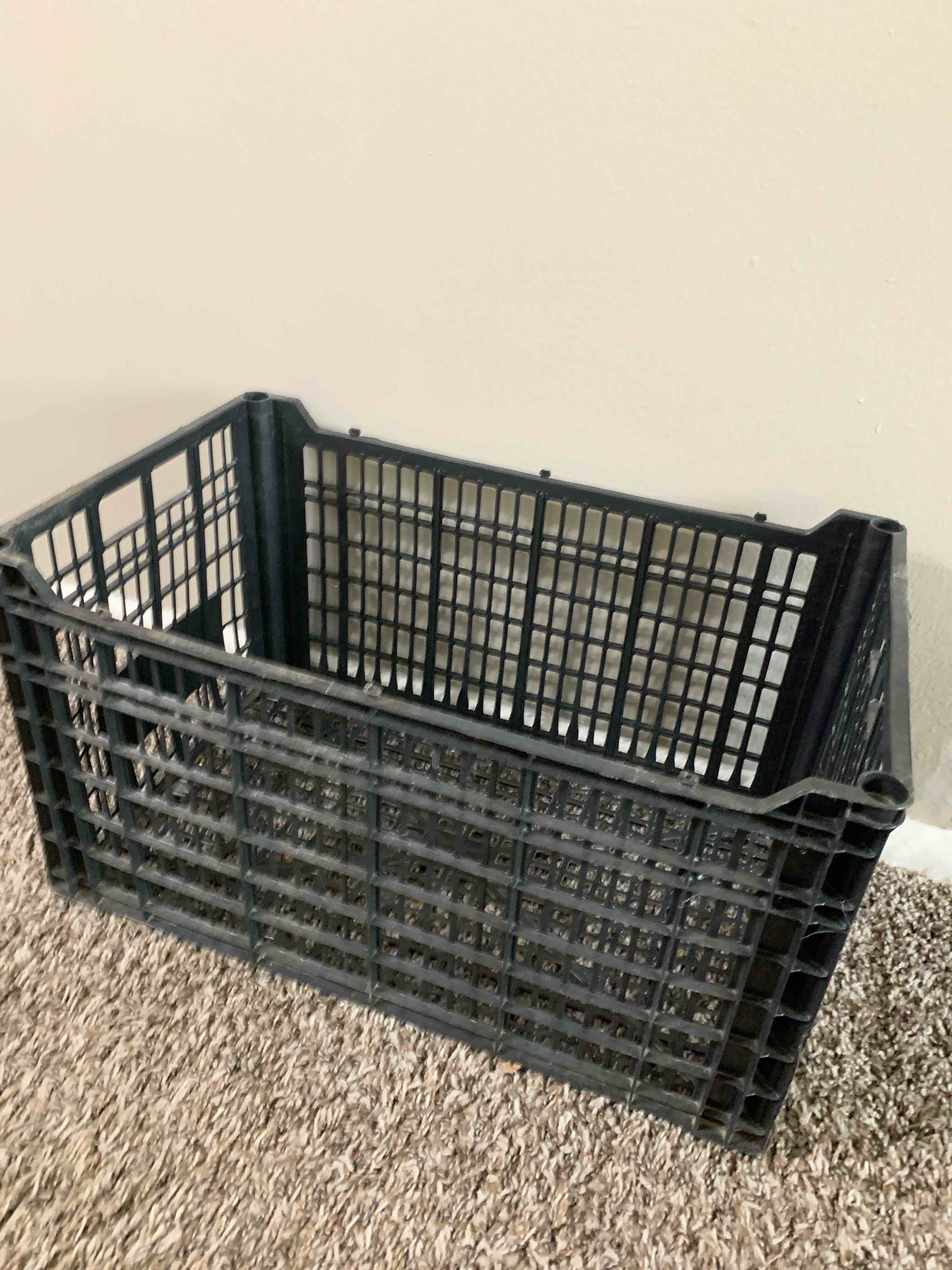 Black Plastic Crate, 12” X 20” X 11” H. 