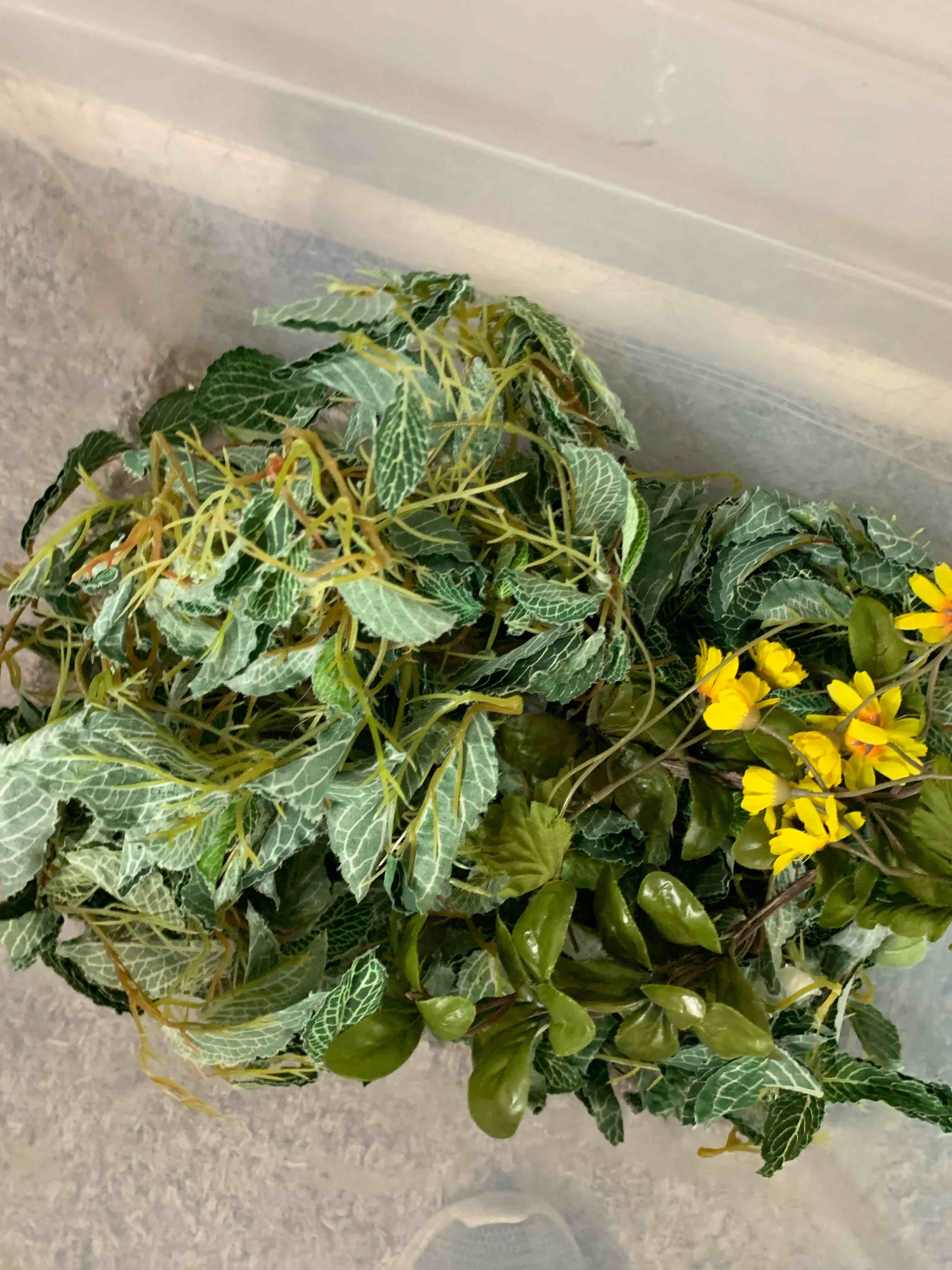 Condition photo showing Good Condition for Lot of Artificial Plants and Flowers 