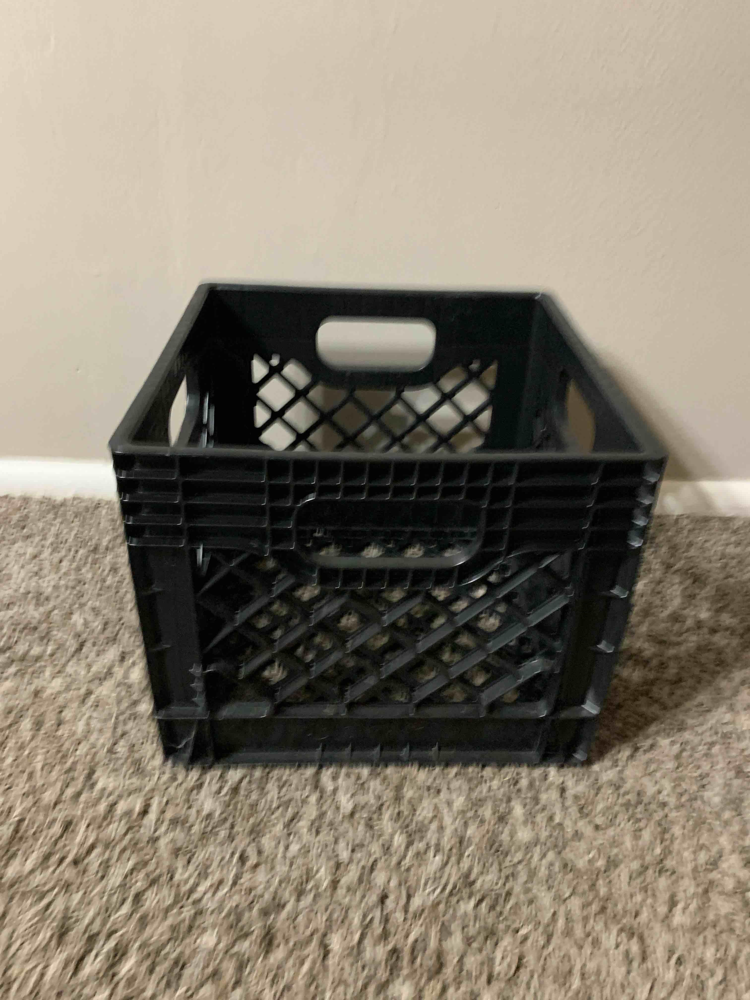 plastic dairy crate